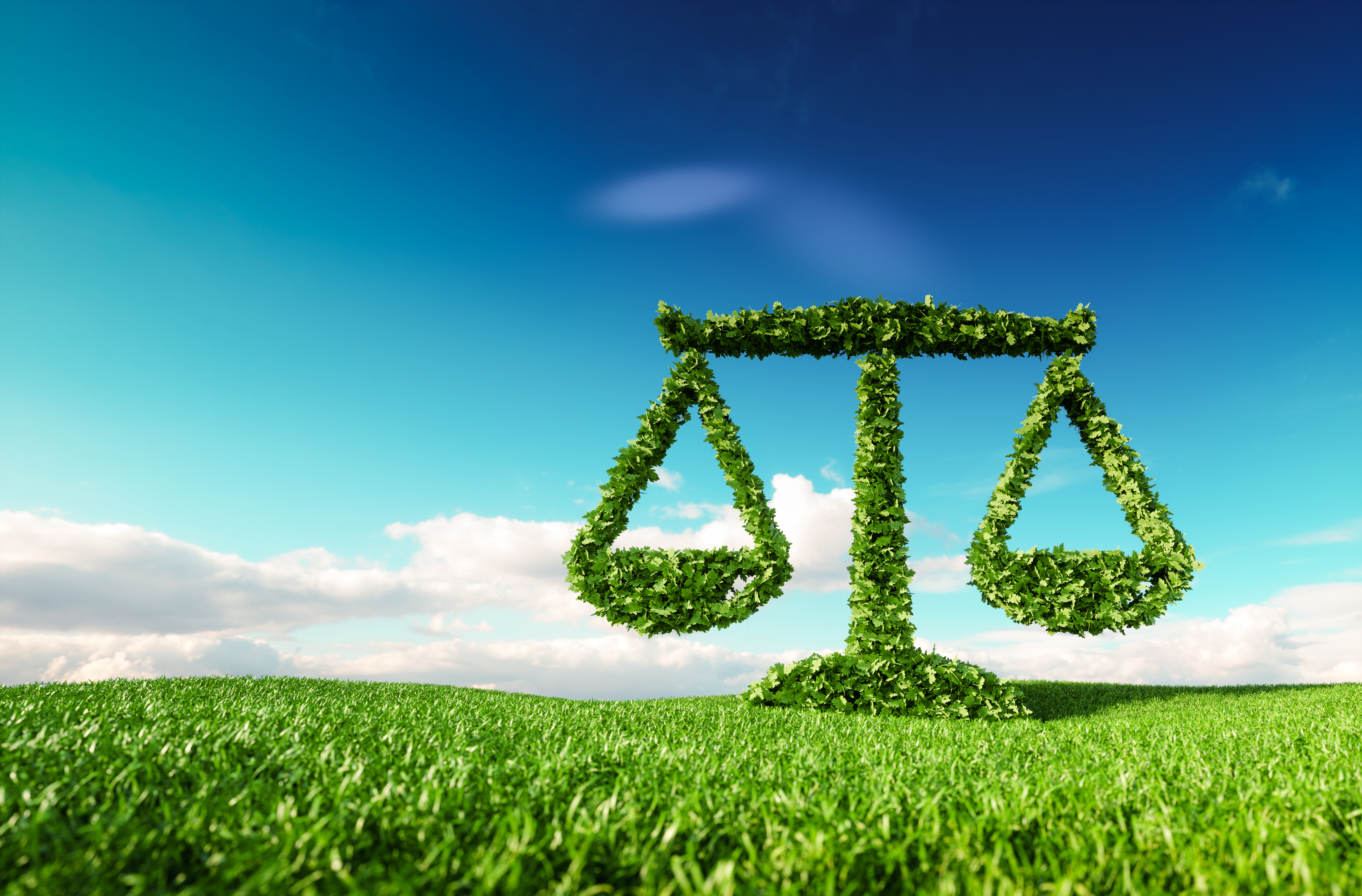 What Is Environmental Litigation?