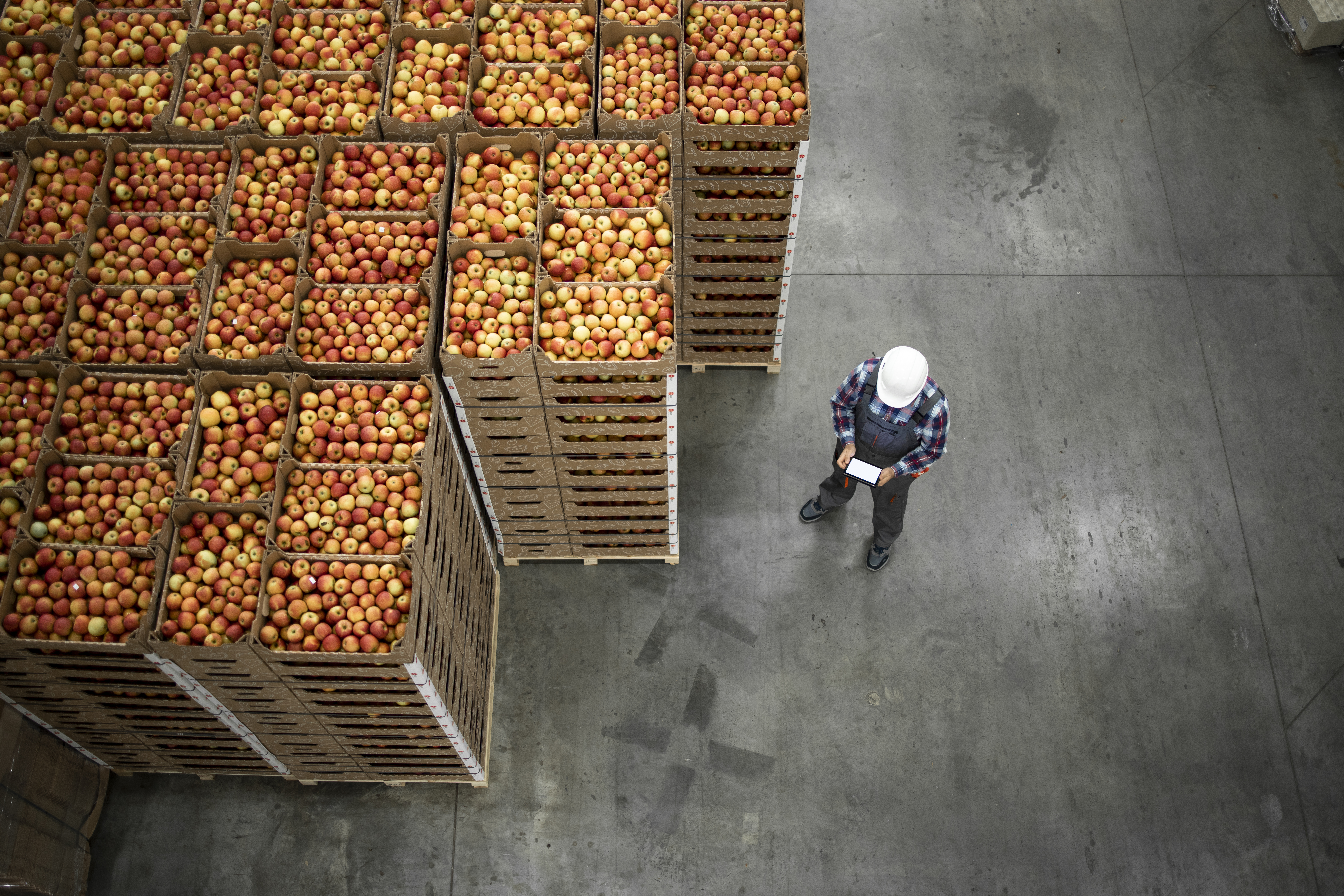 Local governments have the unique power to create more sustainable forms of food production, reduce food insecurity and address unhealthy diets and poor nutrition. Image: Getty Images