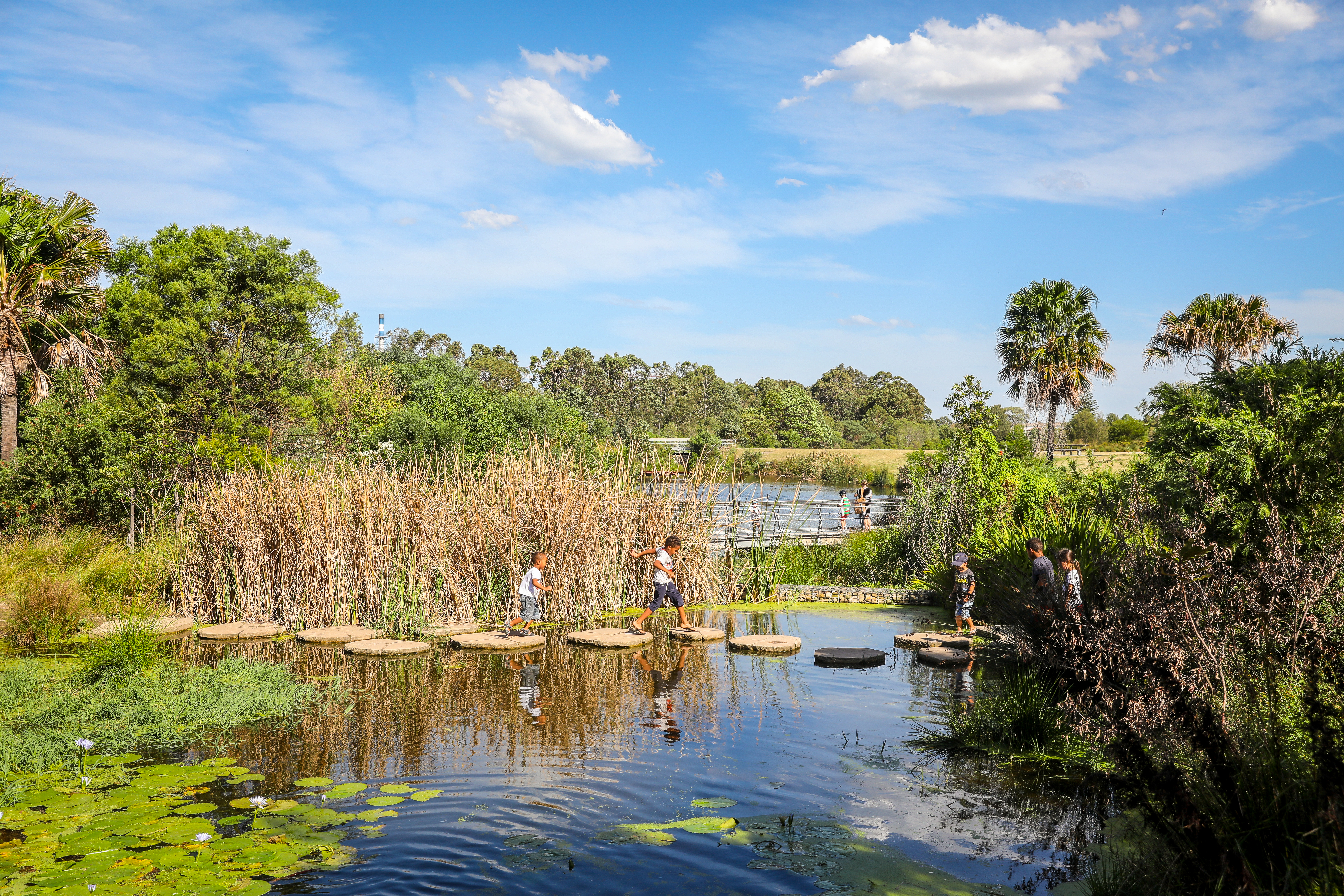 Sydney Park hosts the City's largest water harvesting system.