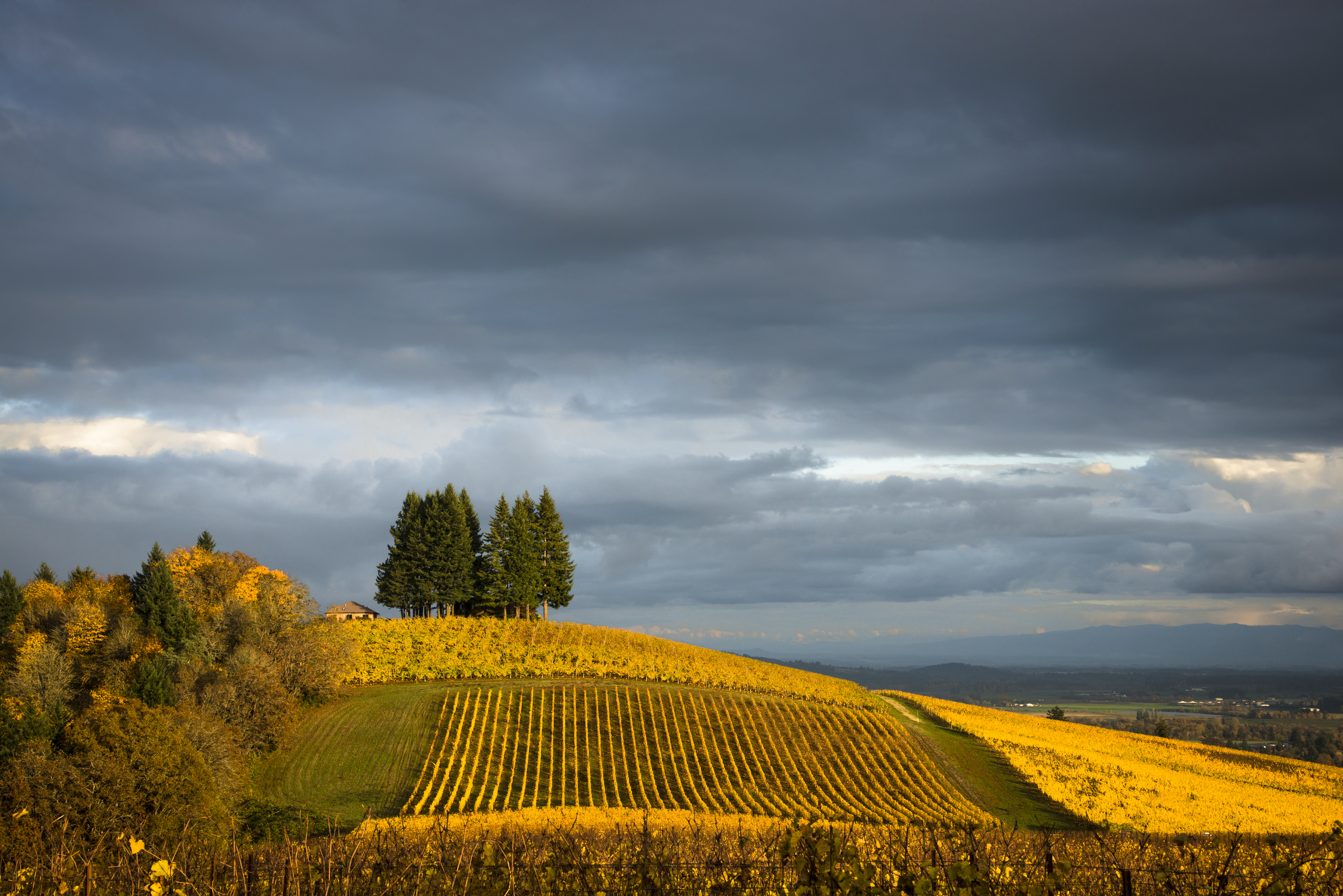 Willamette Valley