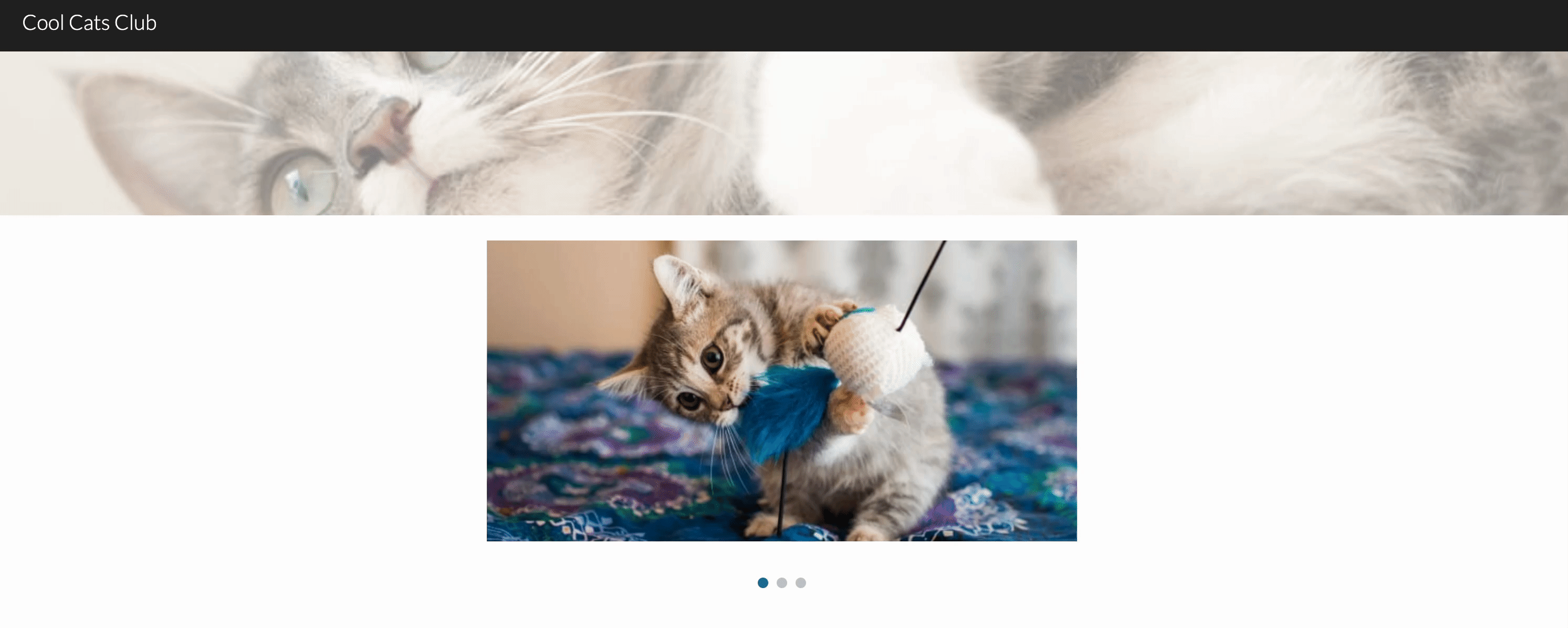 Demo of an image carousel automatically cycling through photos in a Google Sites website preview.