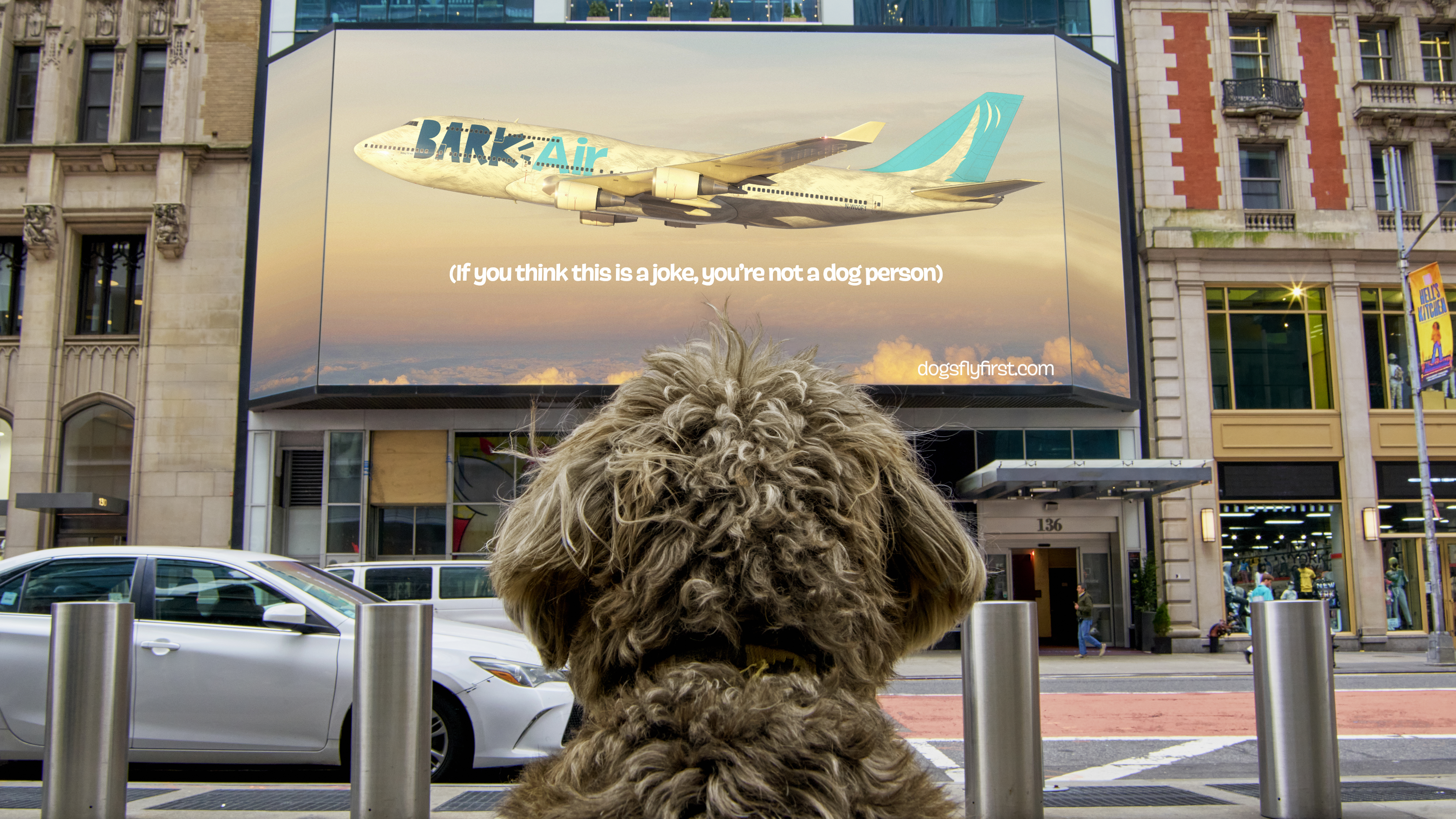 Cover art for Tombras and BARK Launch BARK Air, a 100% Real Airline for Dogs