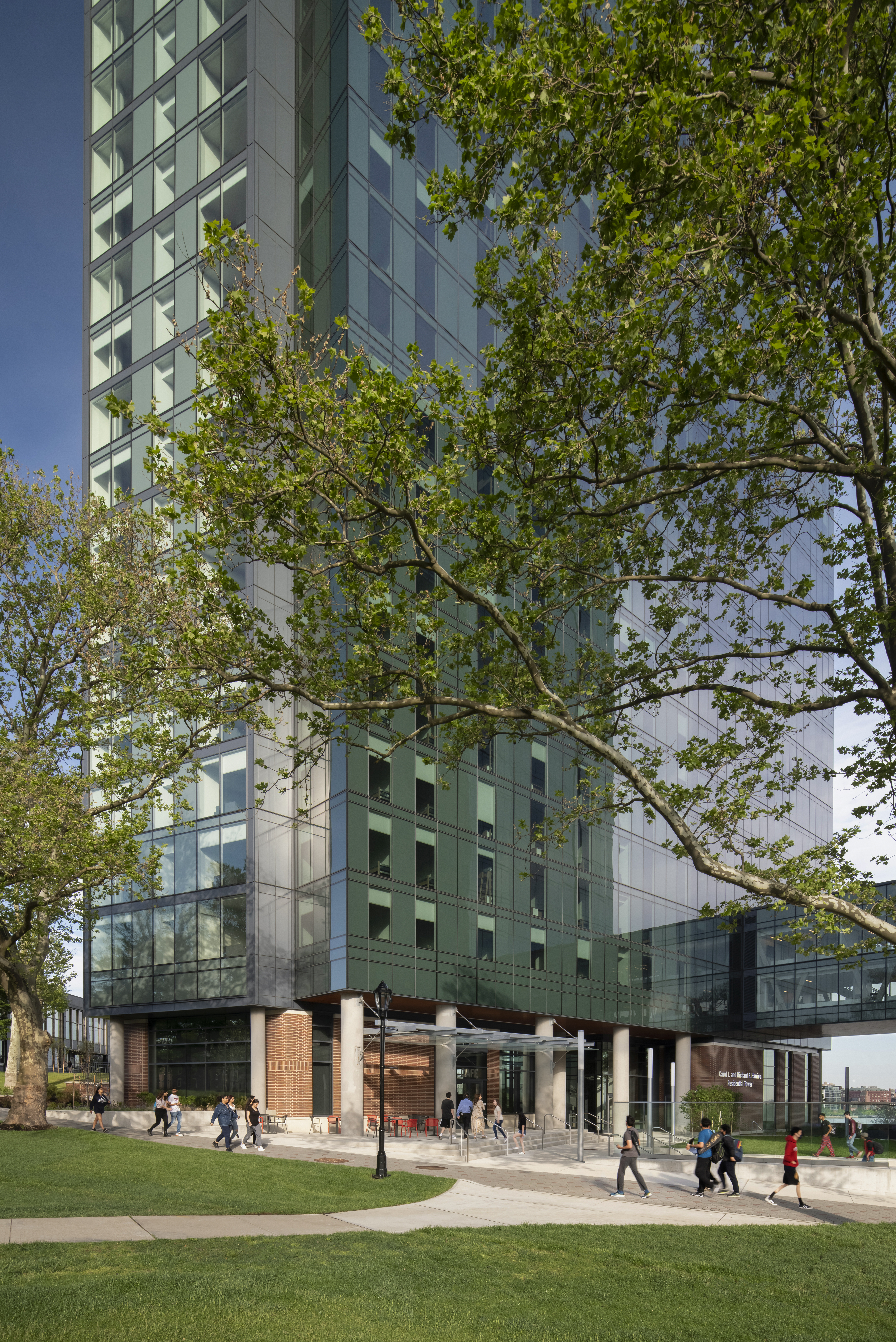 The courtyard at the UCC with tree the foreground