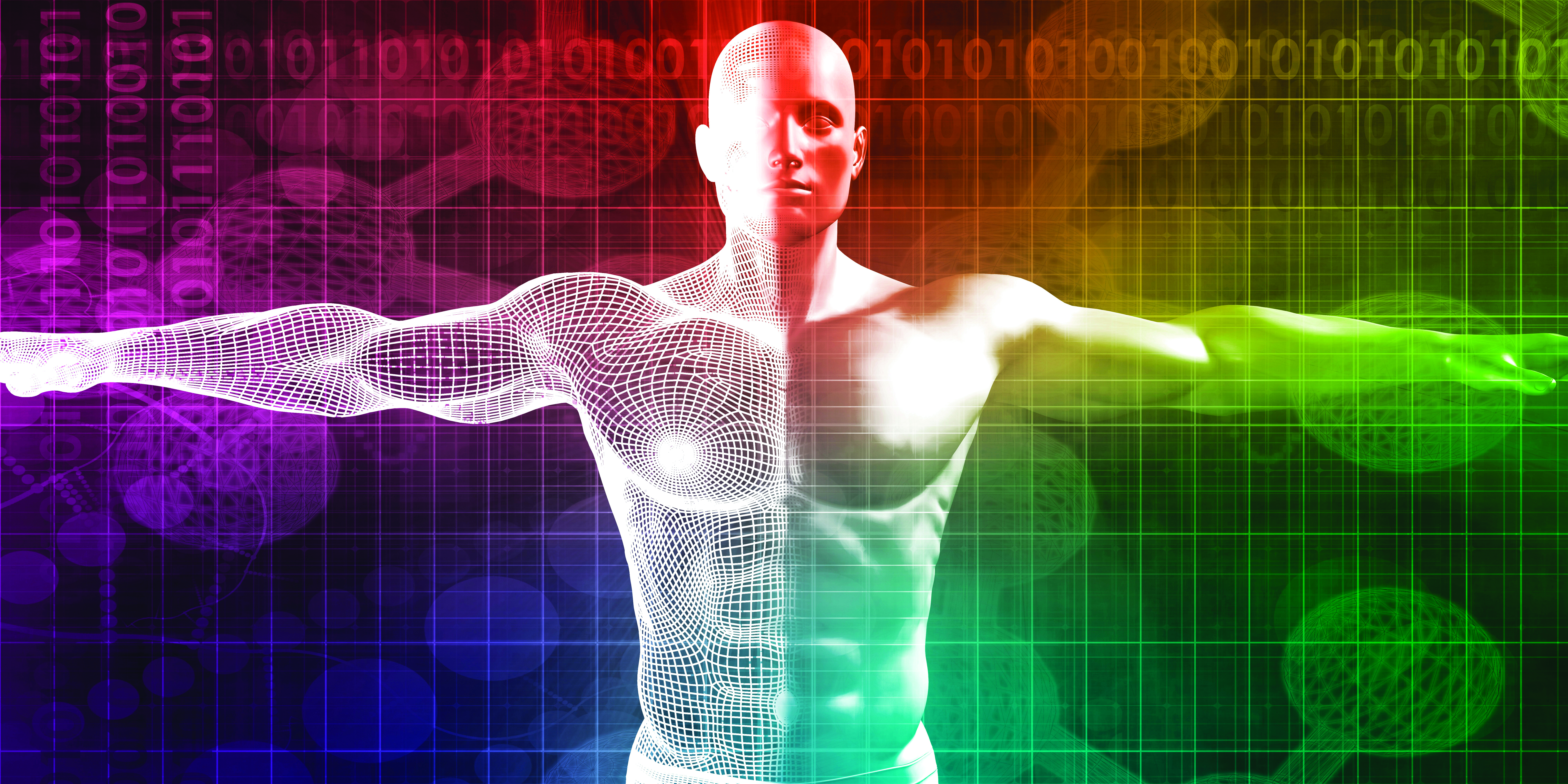 A graphic rendering of a human body