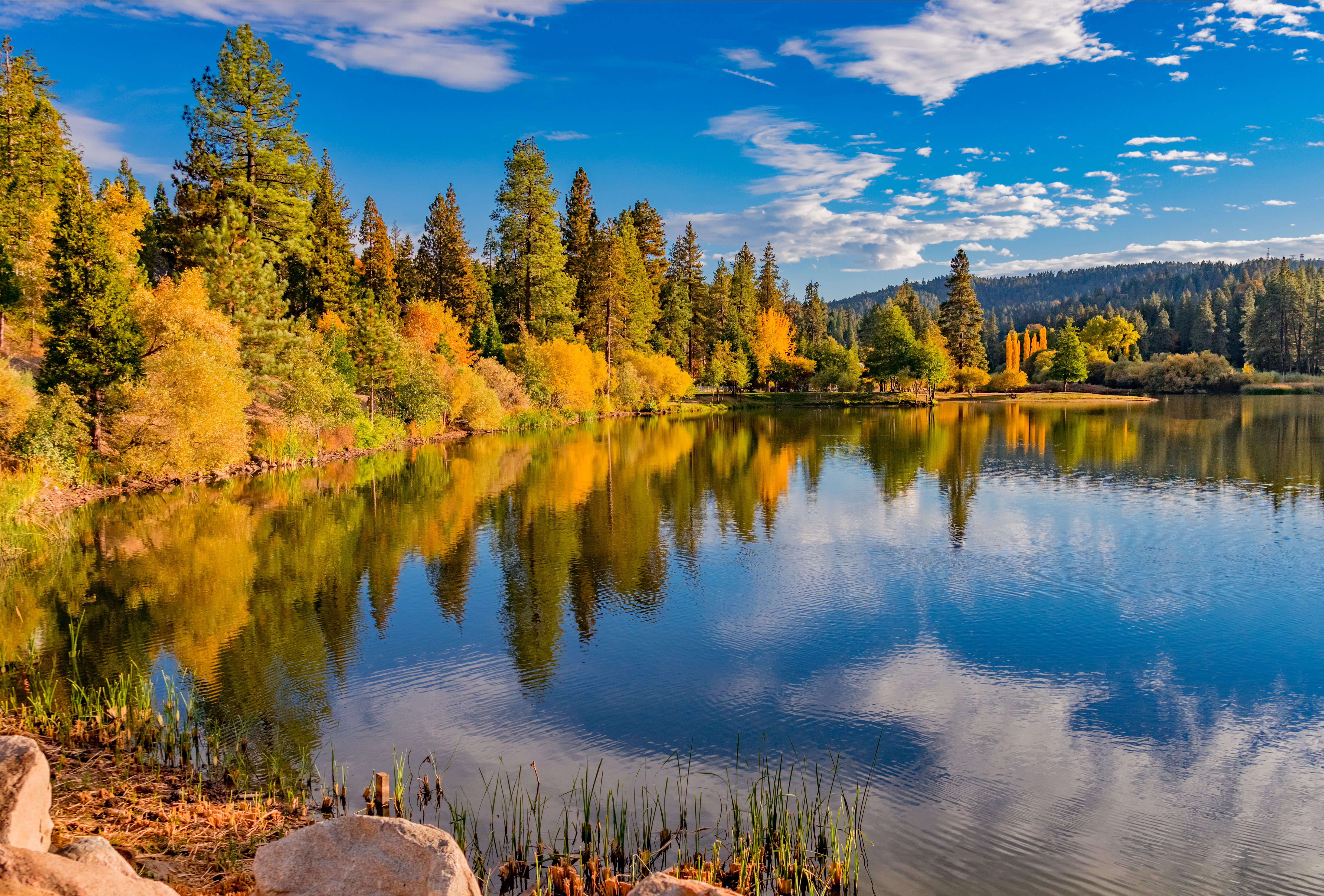 A grove of lakeside trees shows the warm colors of fall in California.