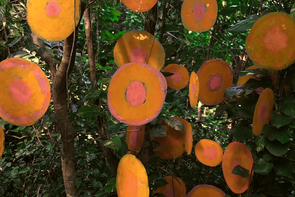 Mellon ElYunque 0004 2304x1536