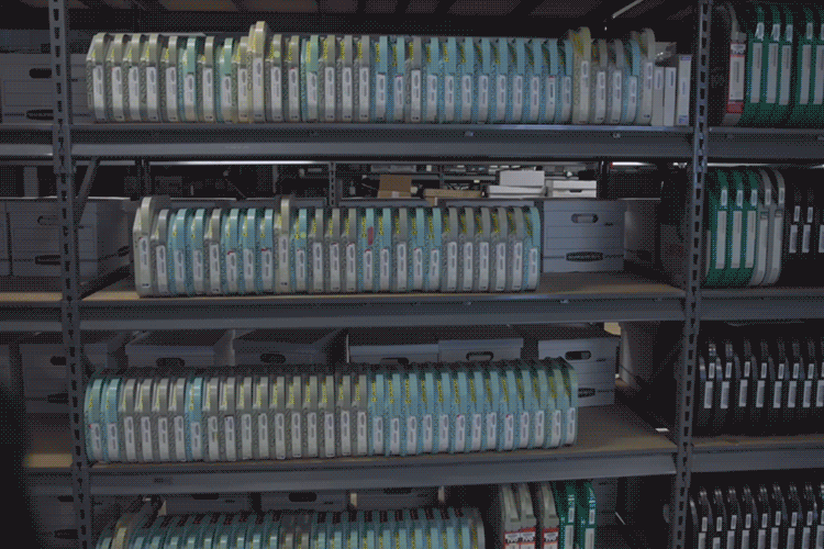 Tapewalk Final 750x500