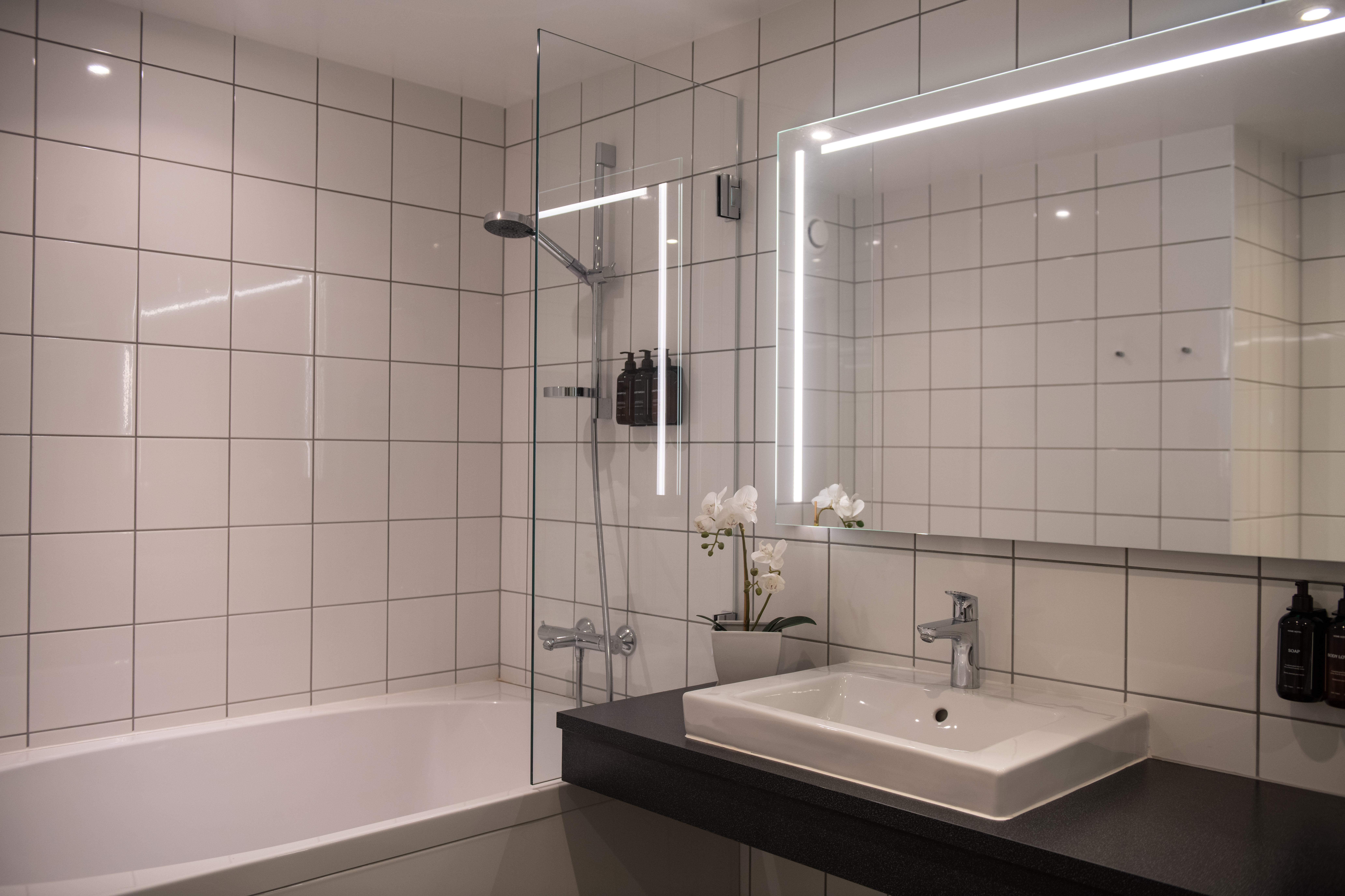 A bathroom features a bathtub with a shower, a large mirror, and a white sink on a black countertop. The walls are tiled, and there's a potted plant for decoration.