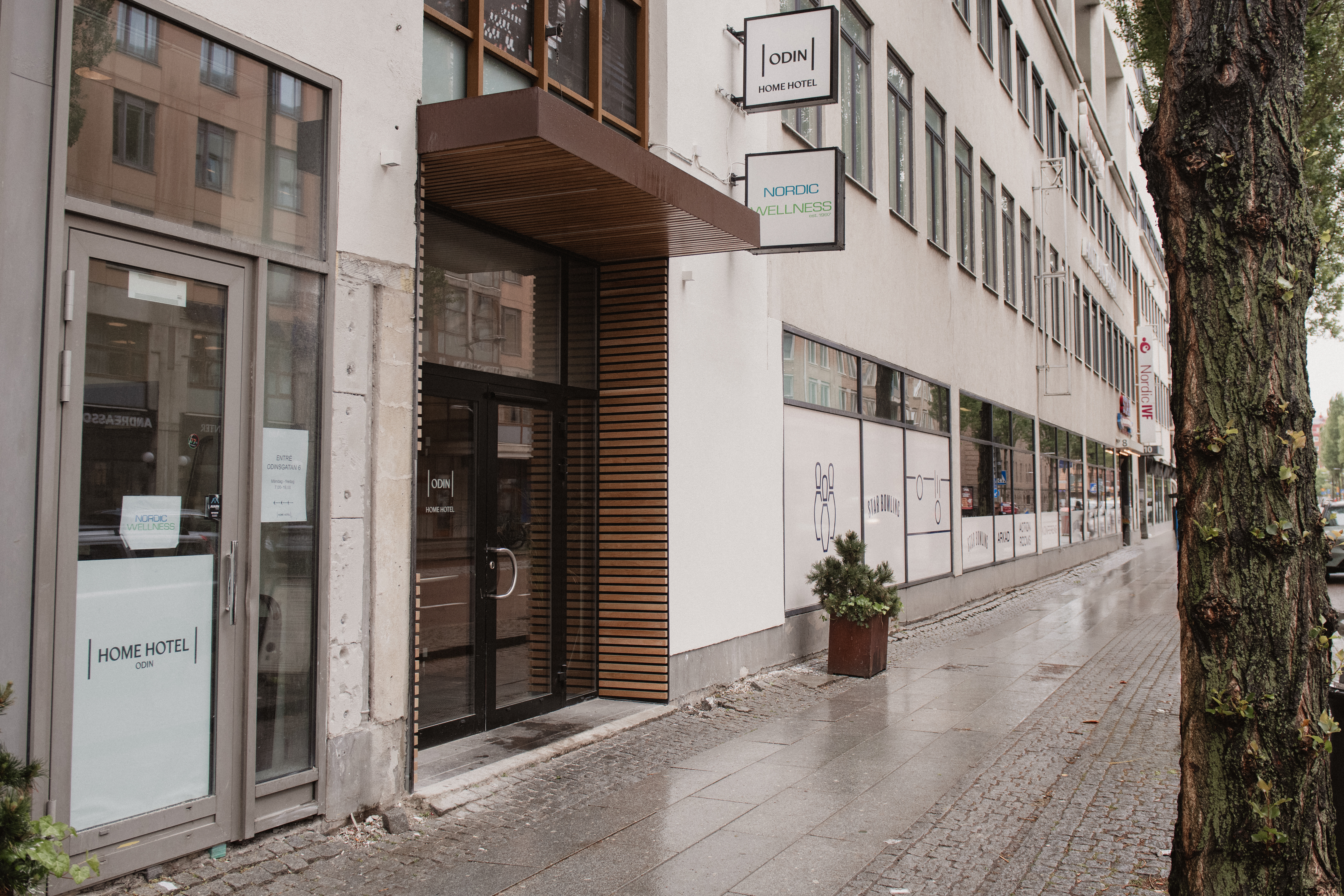 Ingång med glasdörrar märkta "Home Hotel" och "Odin's Hotel & Spa" vid en stadstrottoar, omgiven av ett träd och en rad fönster.