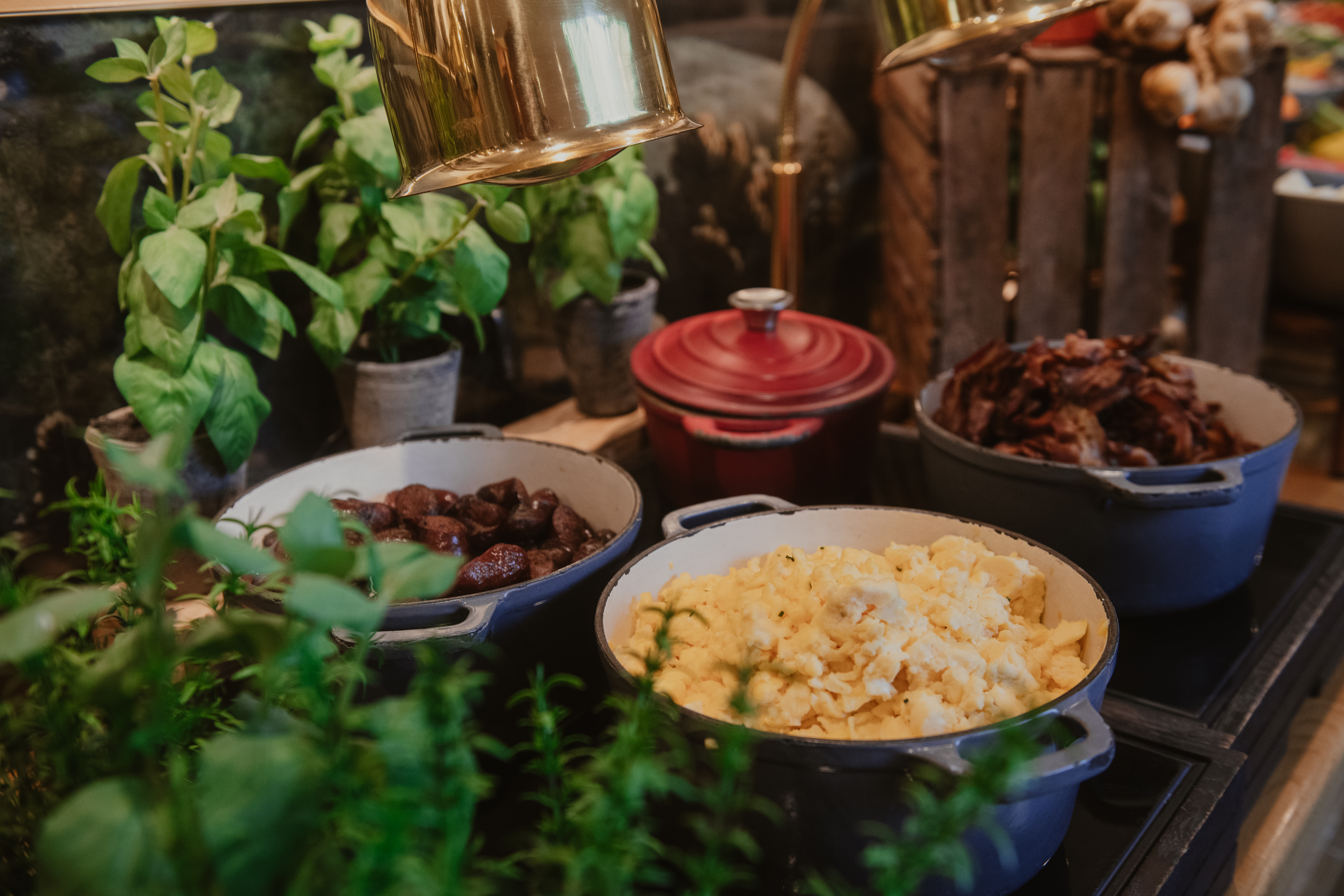 Blå grytor med äggröra, köttbullar och bacon på spis, omgivna av färska krukörter och en röd gryta i rustik köksmiljö.
