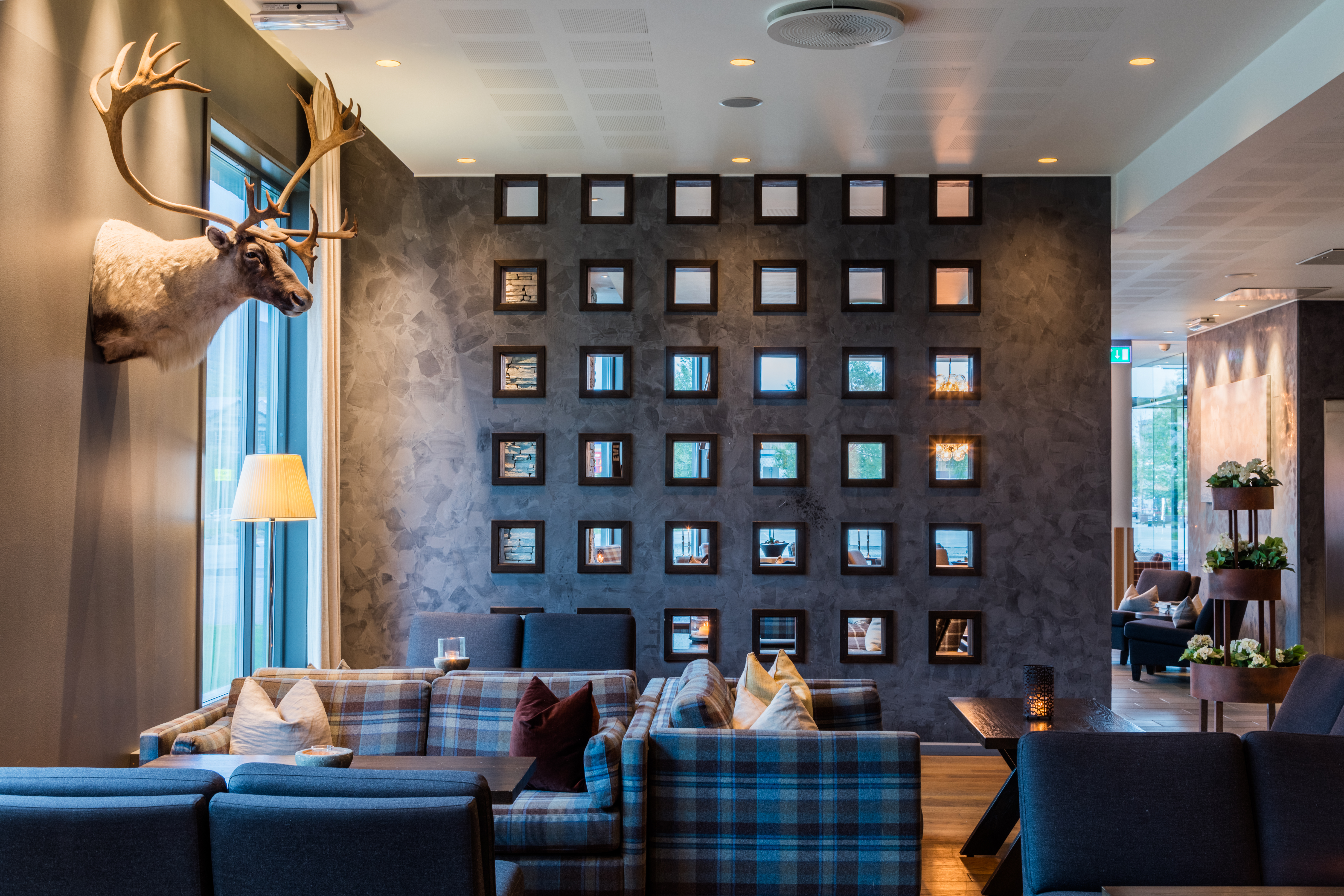 Rutete sofaer er arrangert i en koselig lounge med myke puter. Et reinsdyrhode dekorerer veggen over sofaene, ved siden av et stort vindu. Rutete rammer pryder motsatt vegg.
