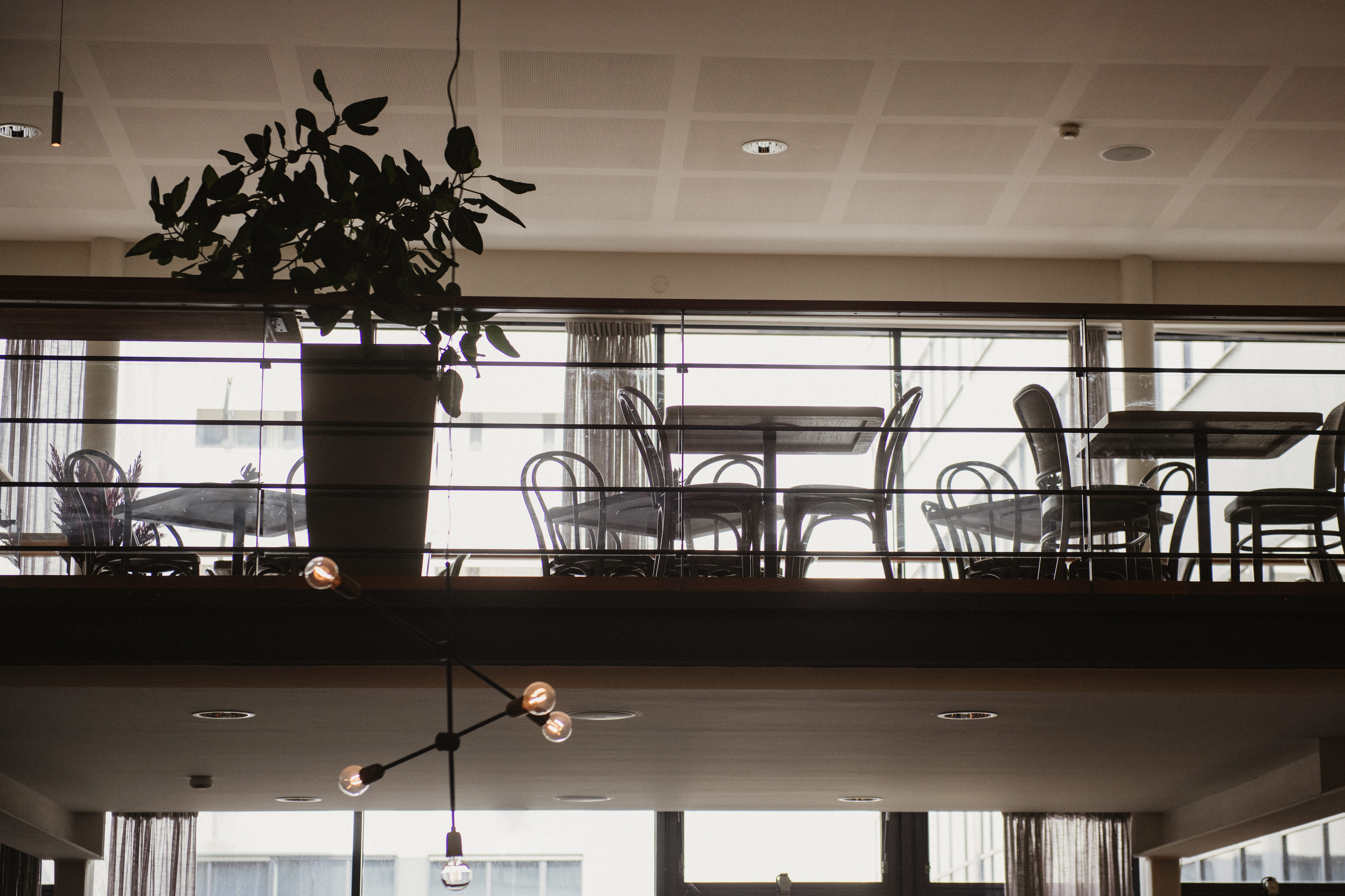 Bord och stolar är arrangerade på en övre nivå, omgivna av glasräcken med en stor krukväxt. Taklampor hänger nedanför och skapar en modern kaféatmosfär.