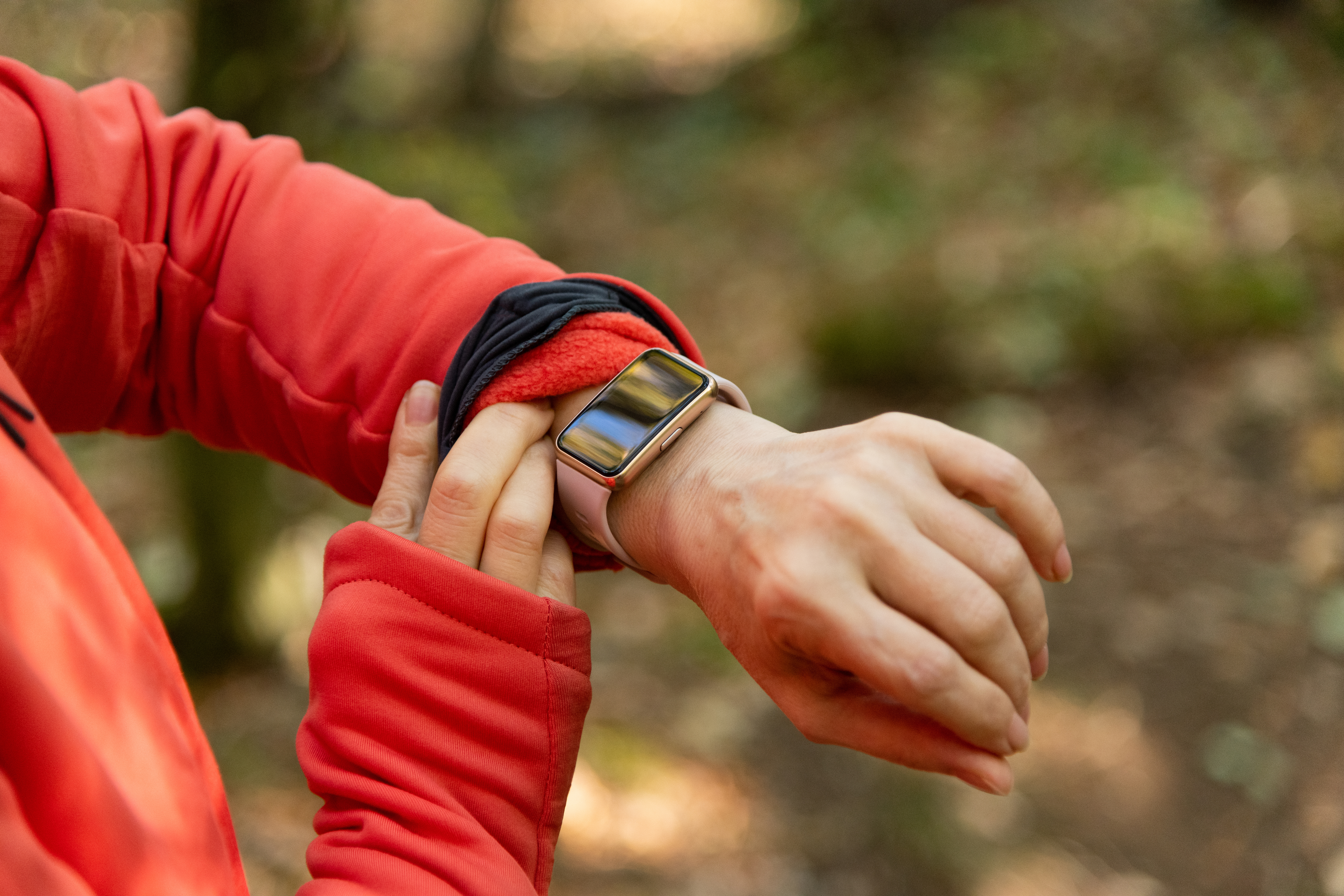 AdobeStock 584857110