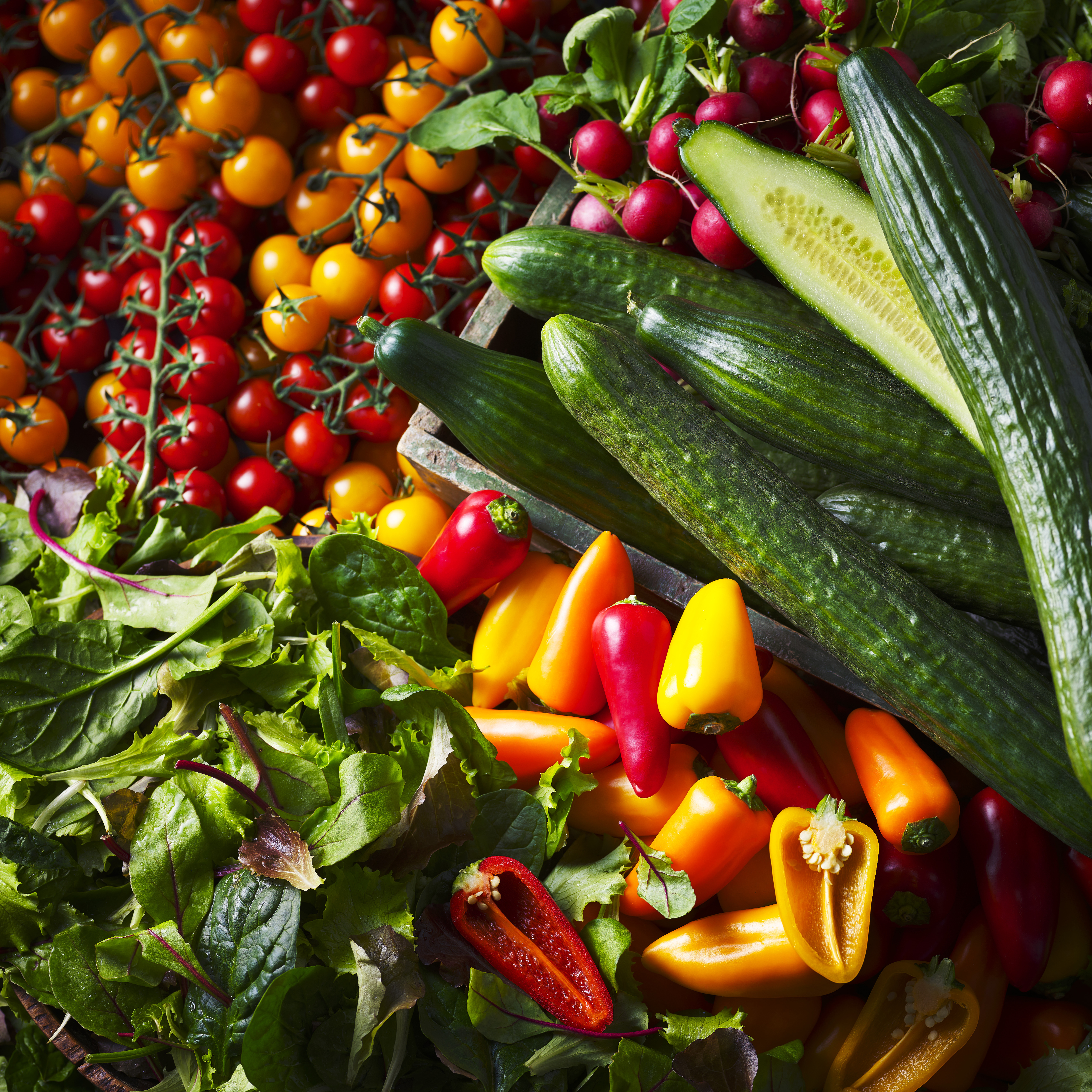 Close-up of tomatoes, peppers, salad and cucumbers