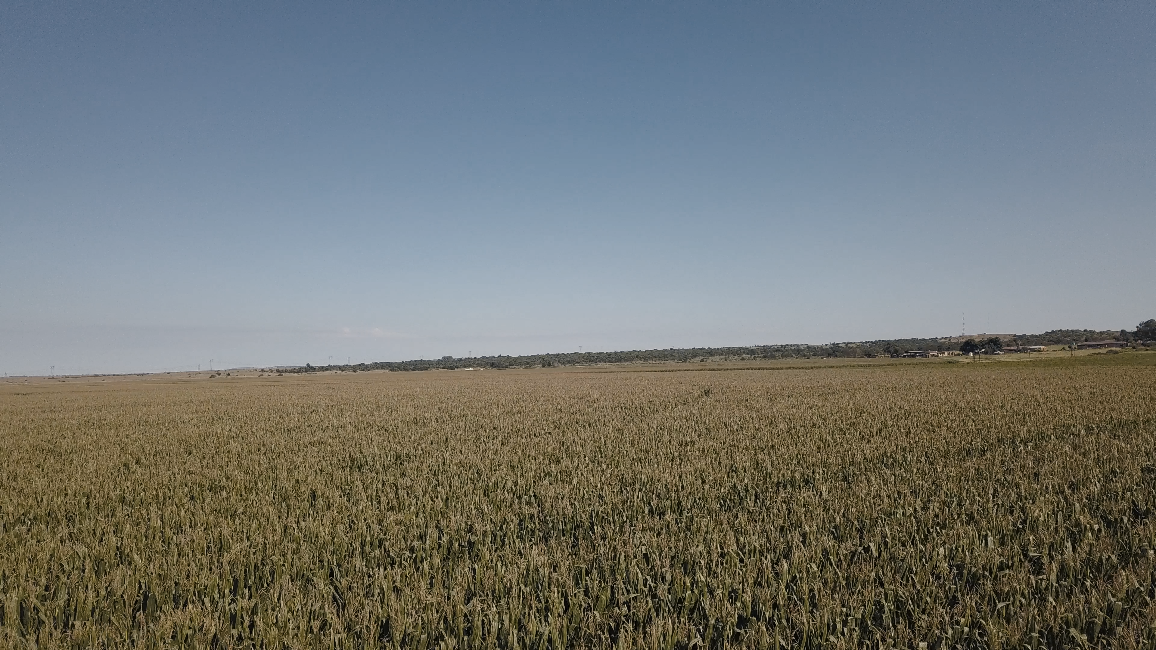 land_farm_agriculture_south_africa