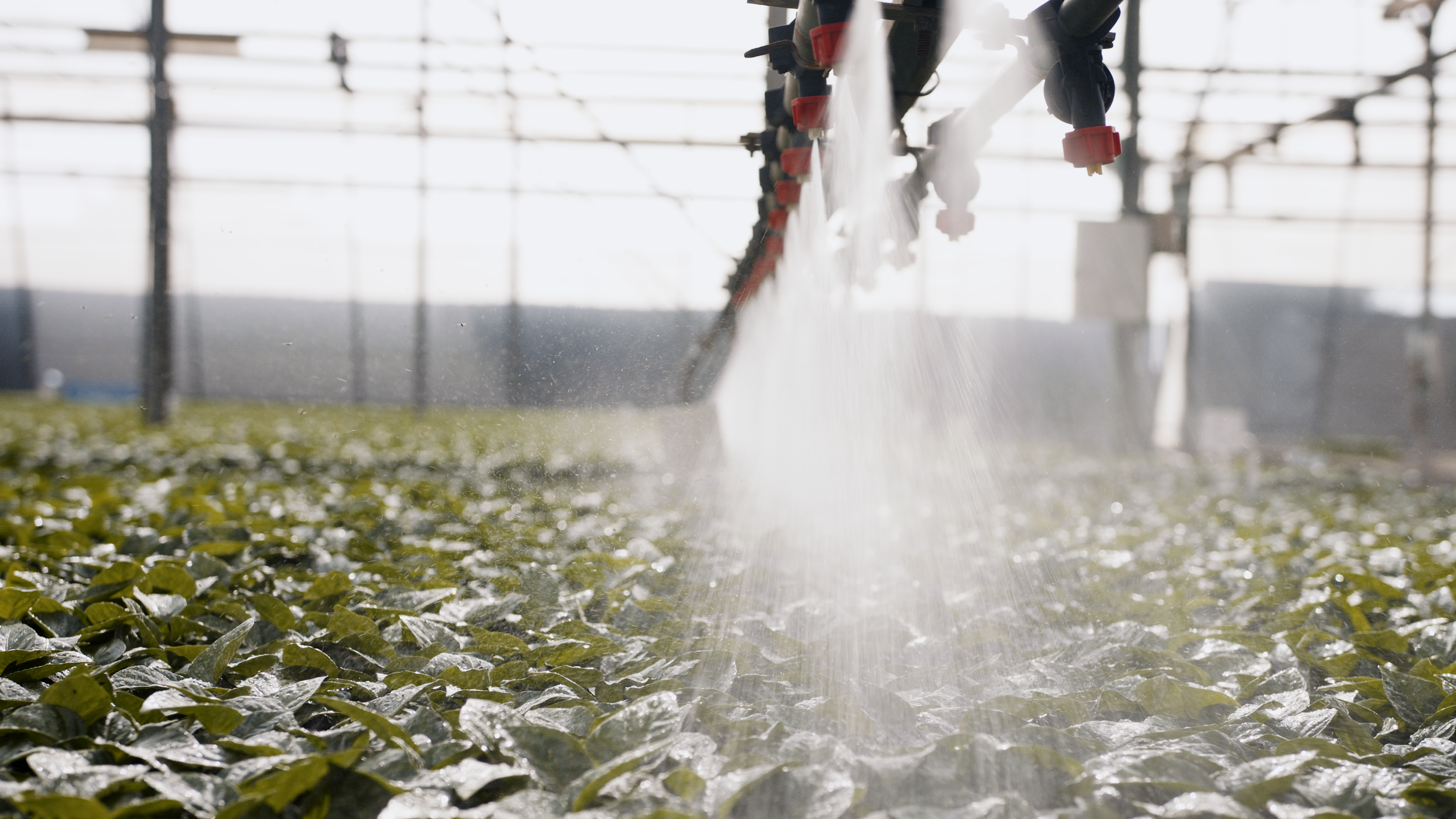 agriculture_farm_crops_water_levies