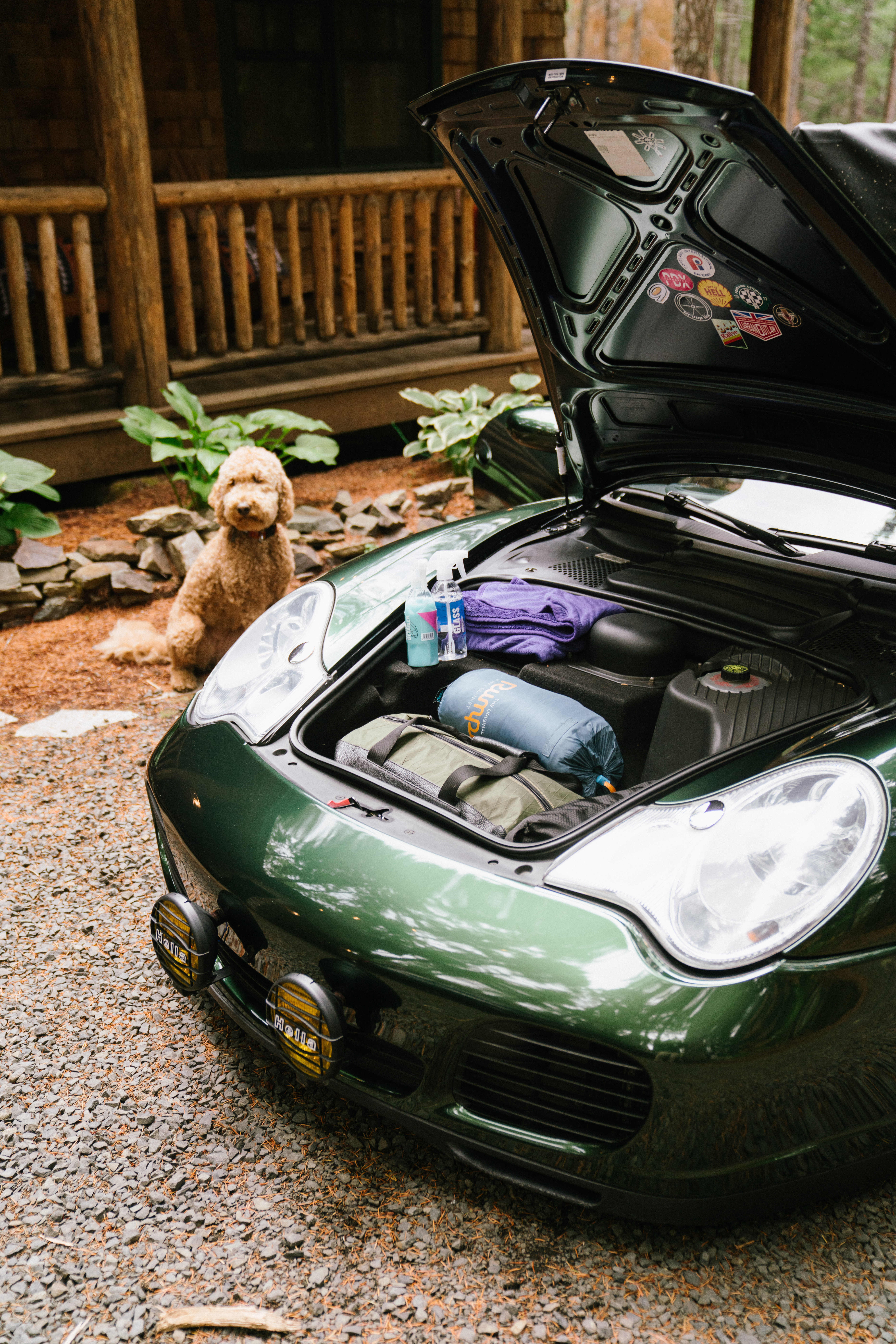 Frunk of Porsche 911 filled with camping gear. Goldendoodle sitting behind