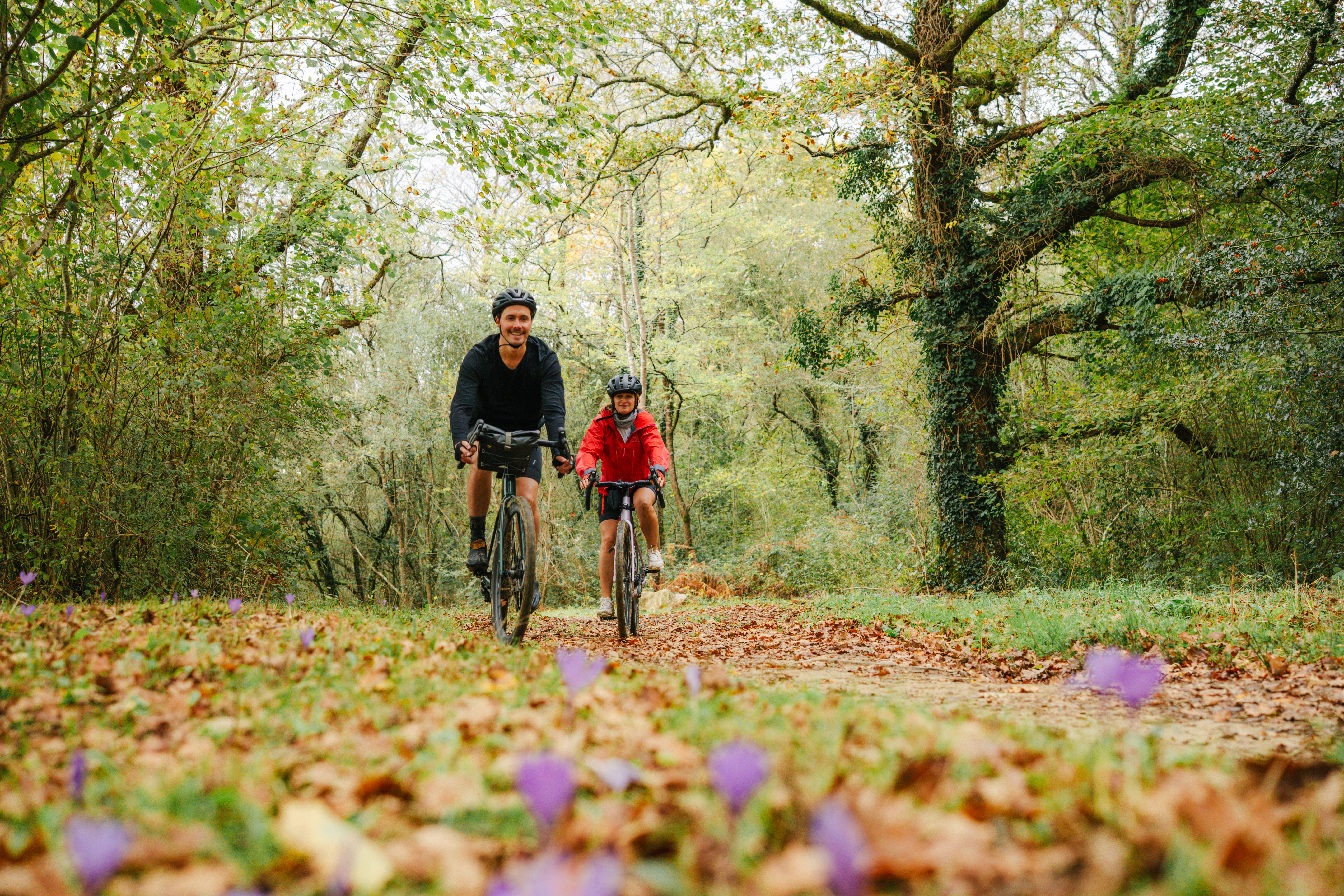 Pays Basque 6 : Forêts