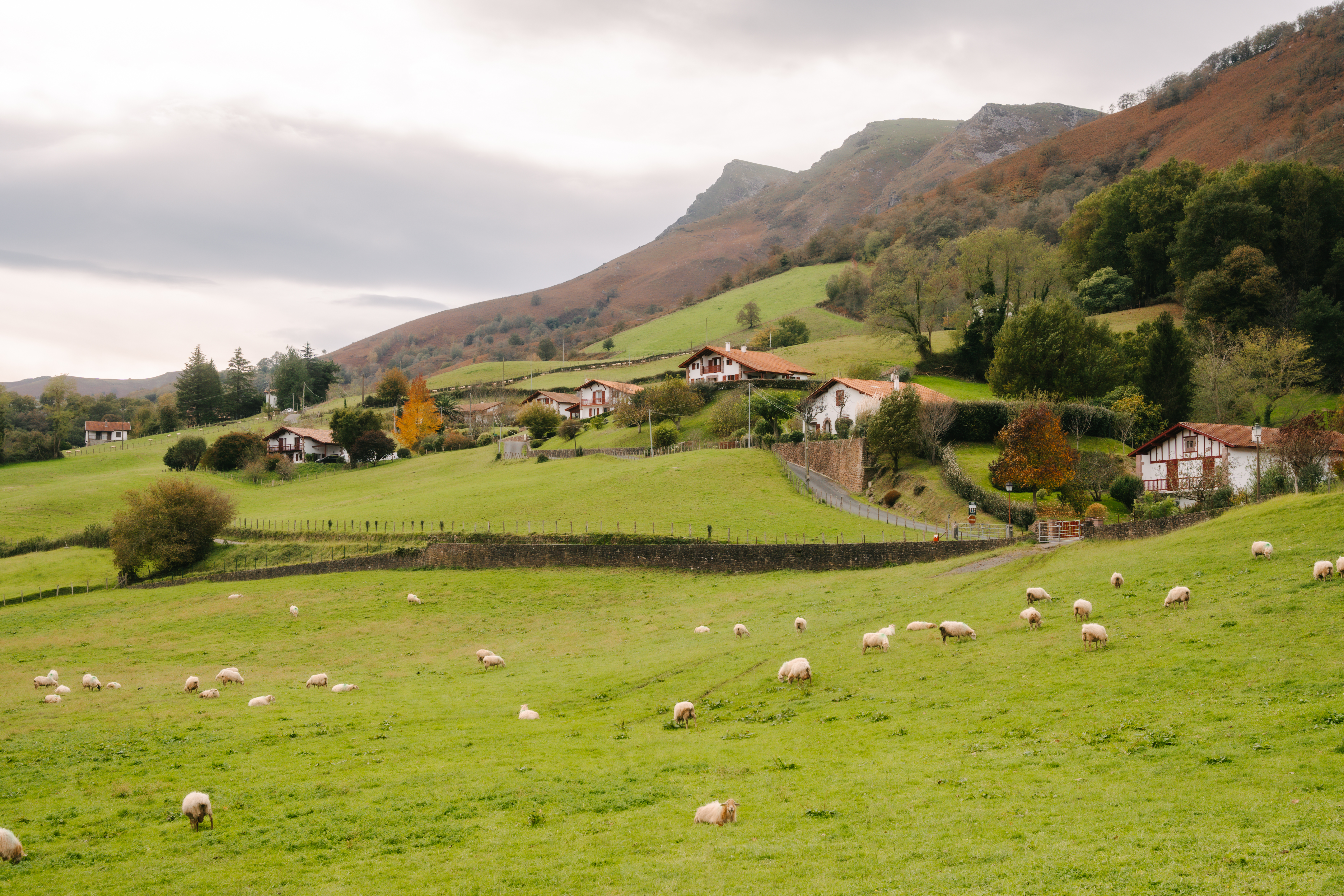 Vallées verdoyantes