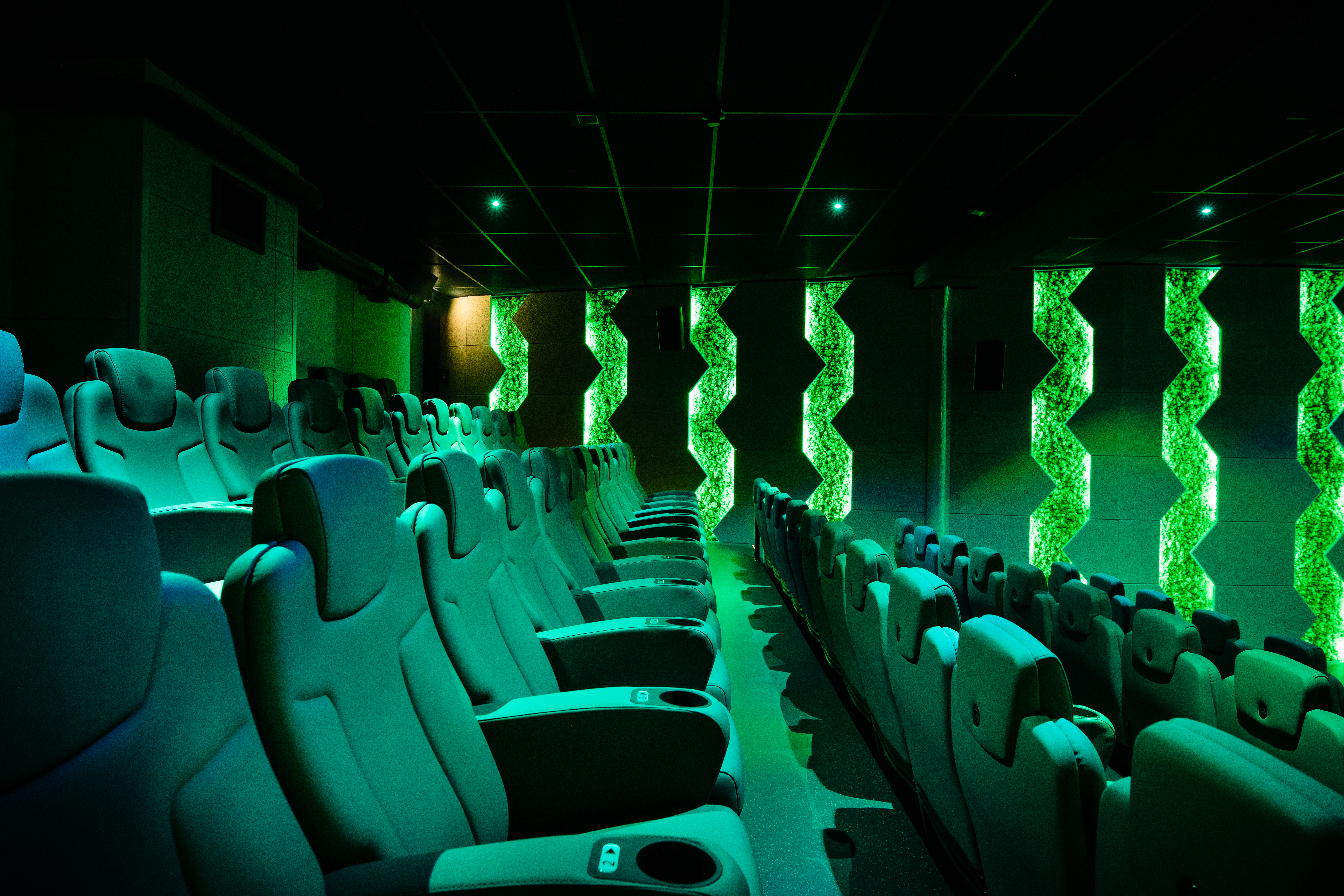 Moos an der Wand in Tower 9