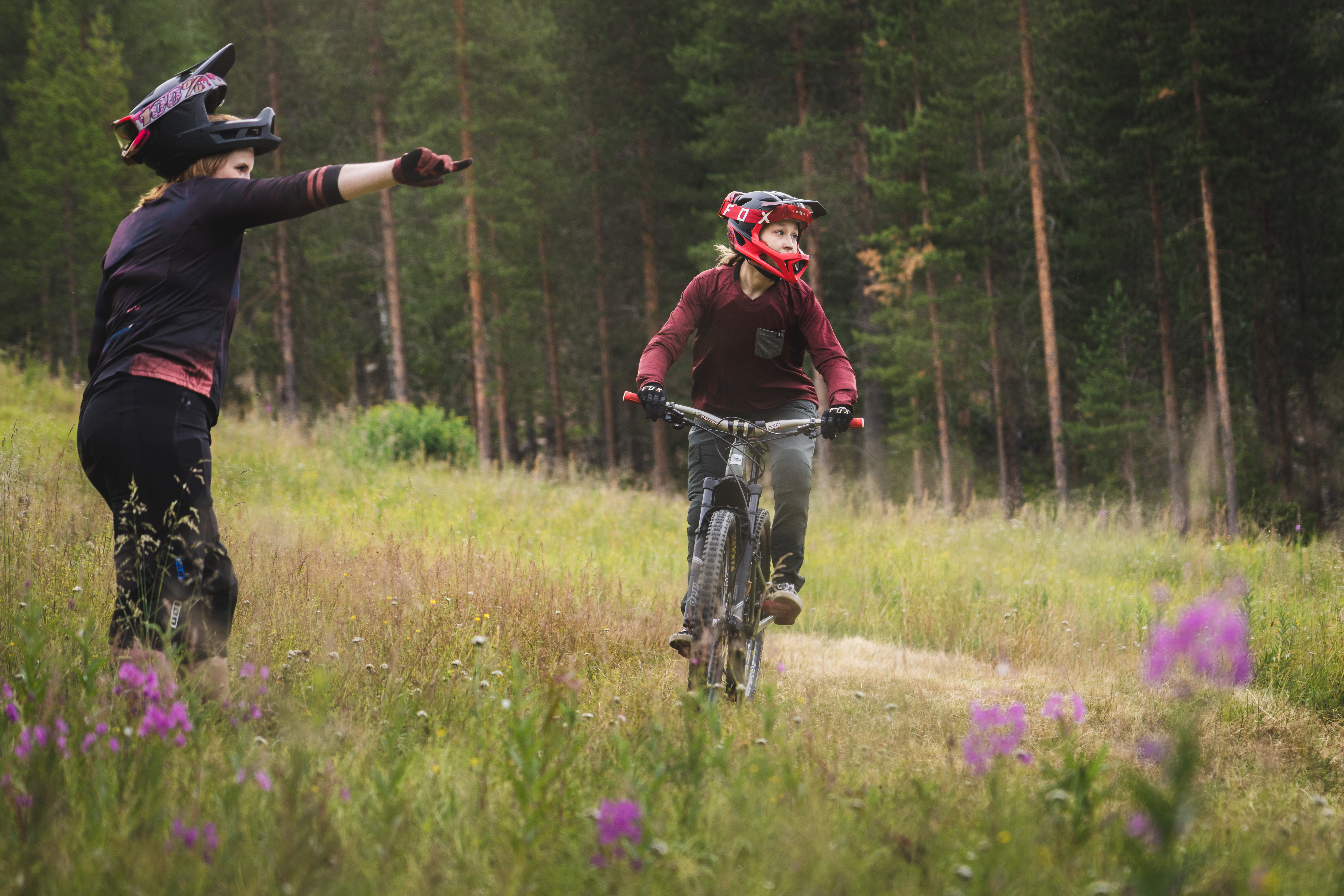 hissipyöräilyn alkeet