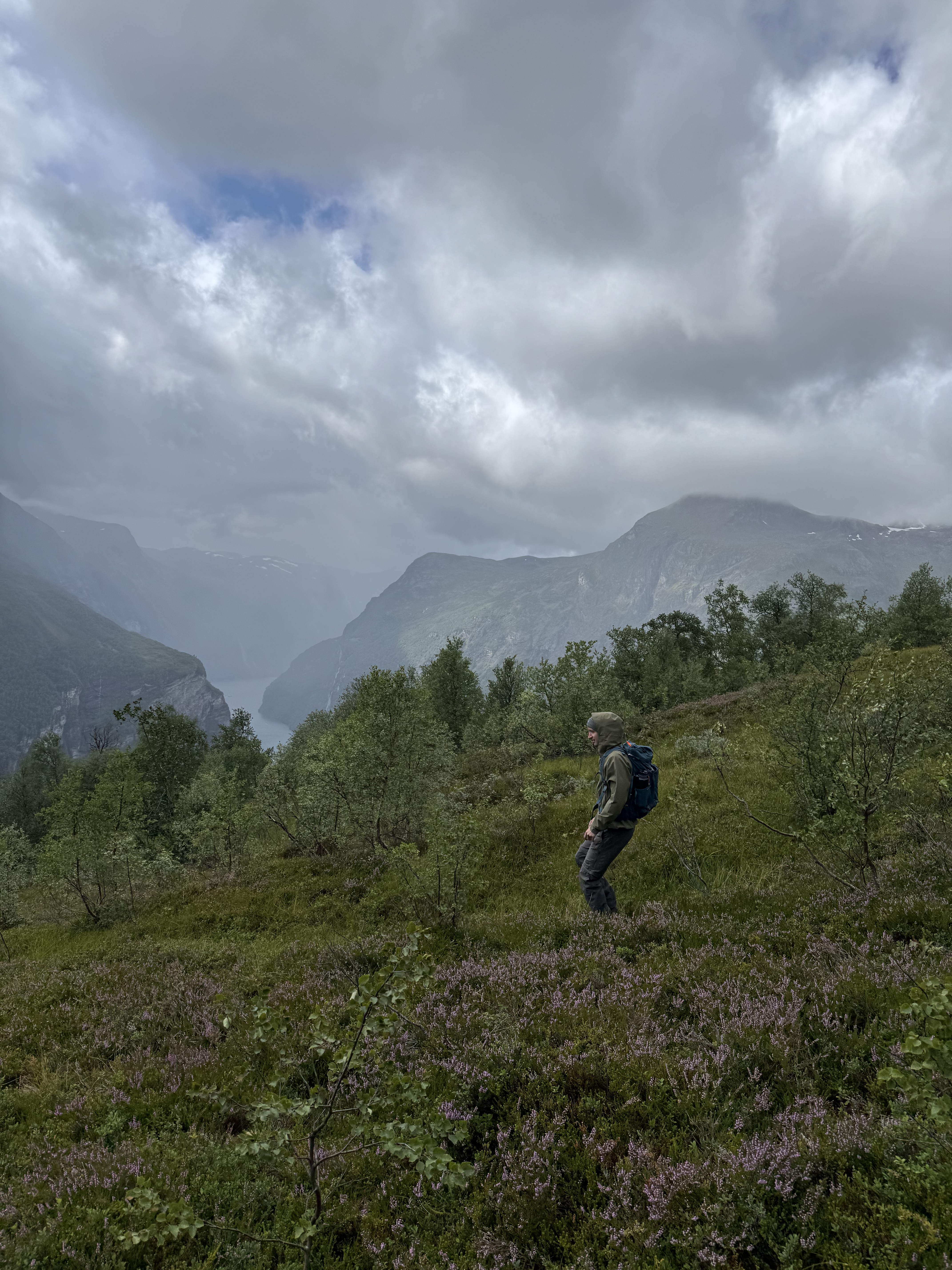 Mann geht am Geirangerfjord wandern
