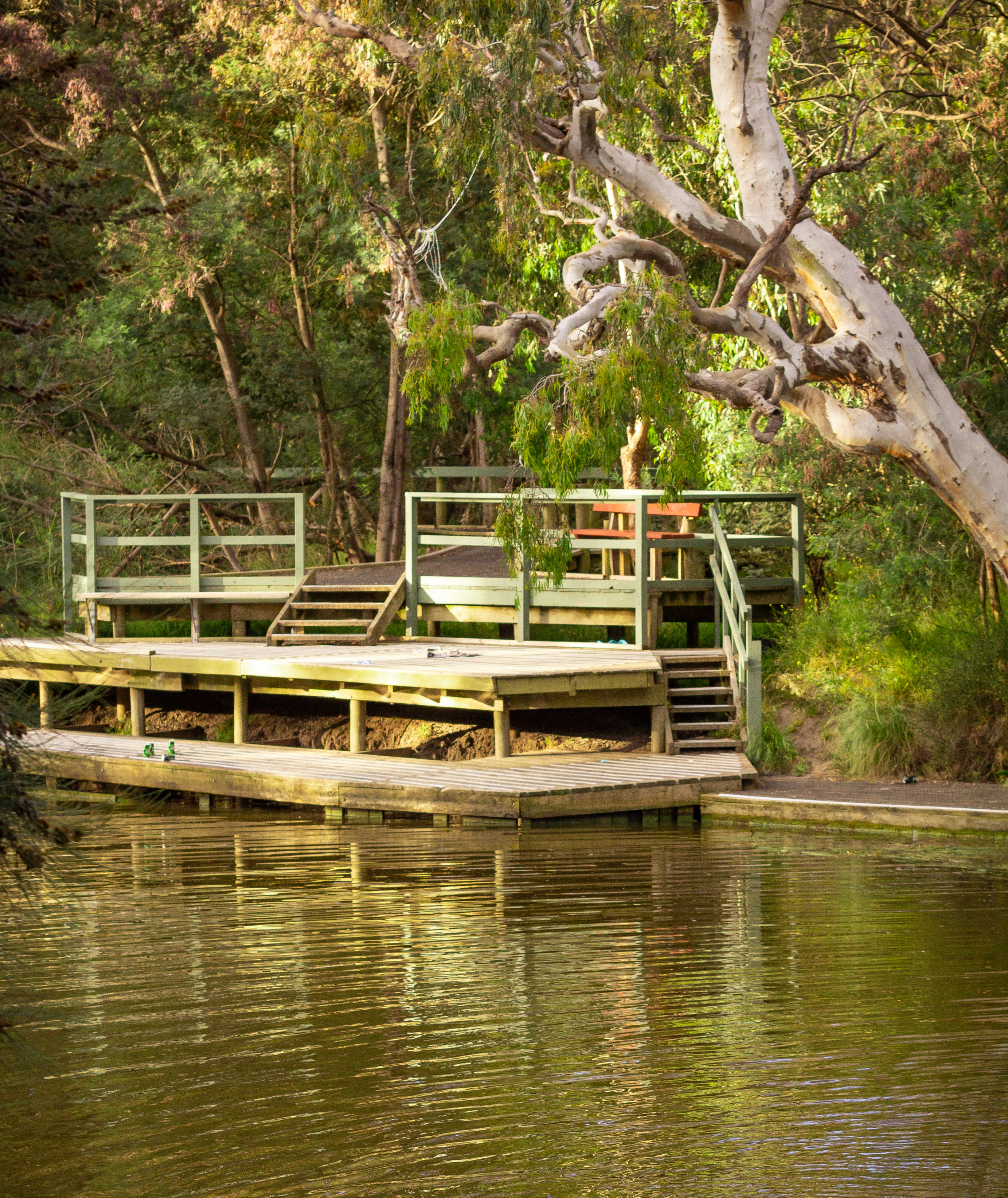 Jettyat Yollinko Wetlands on Barwon River, Geelong, Victoria