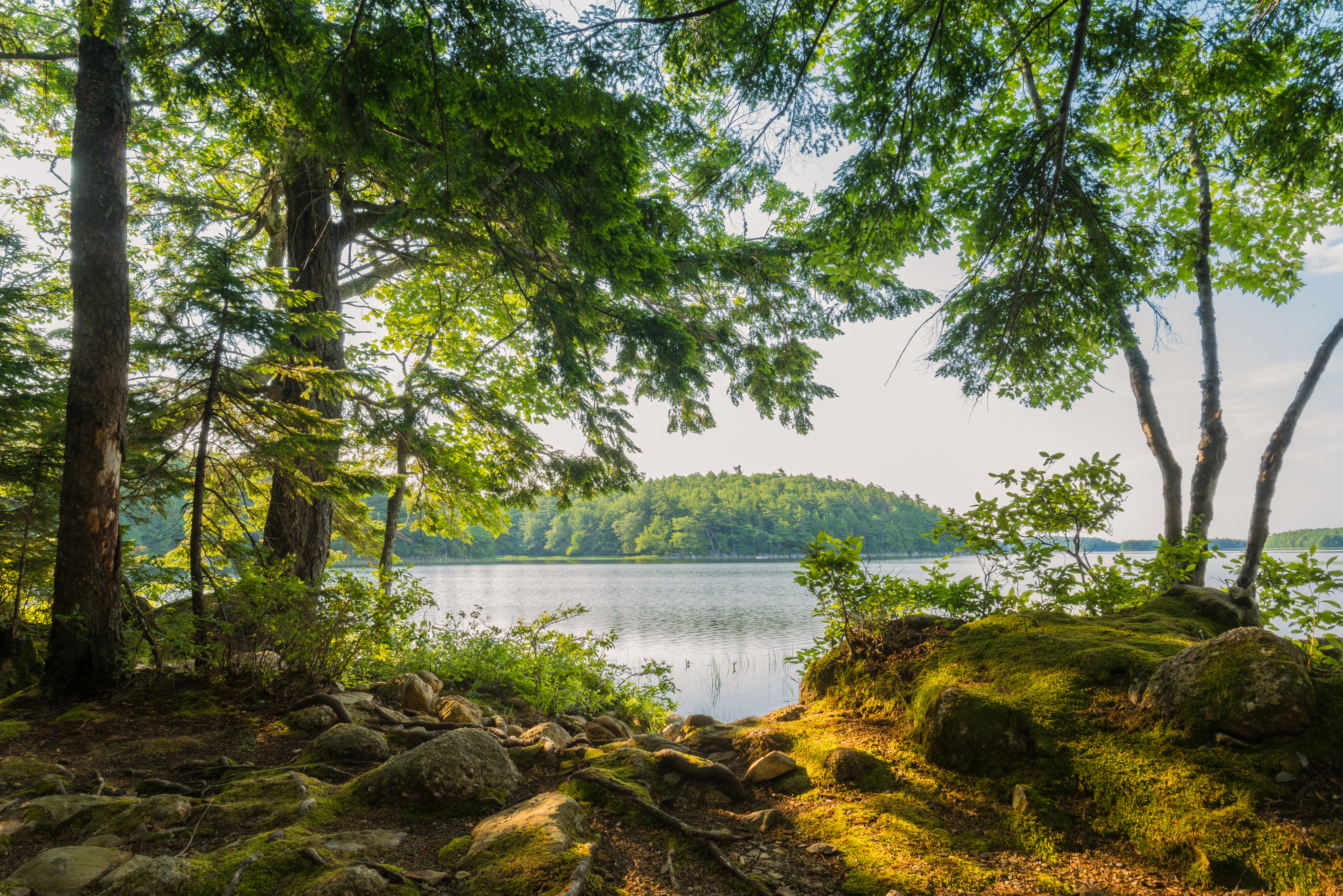 A view of Kejimkujik National Park