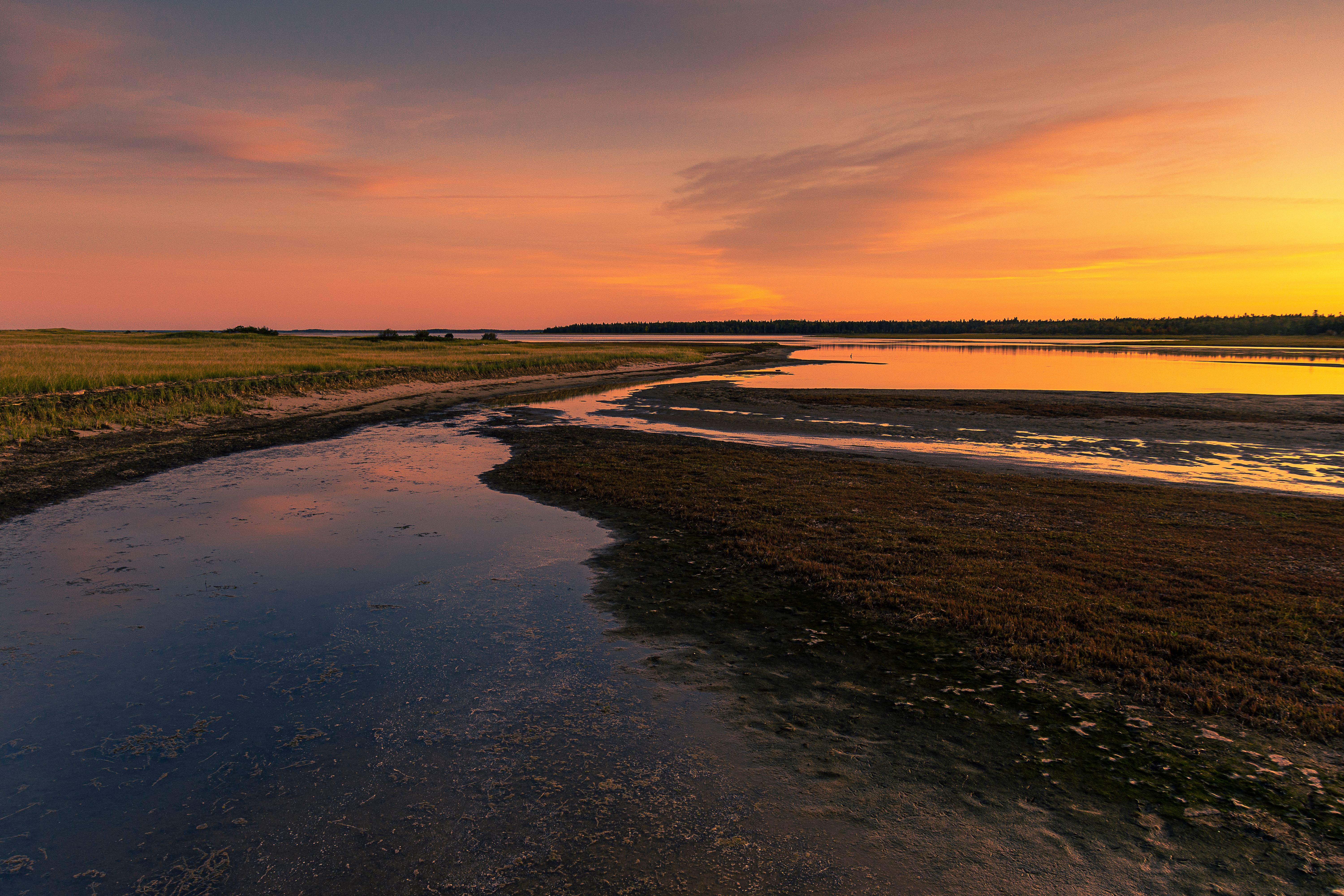 A view of Kouchibouguac National Park