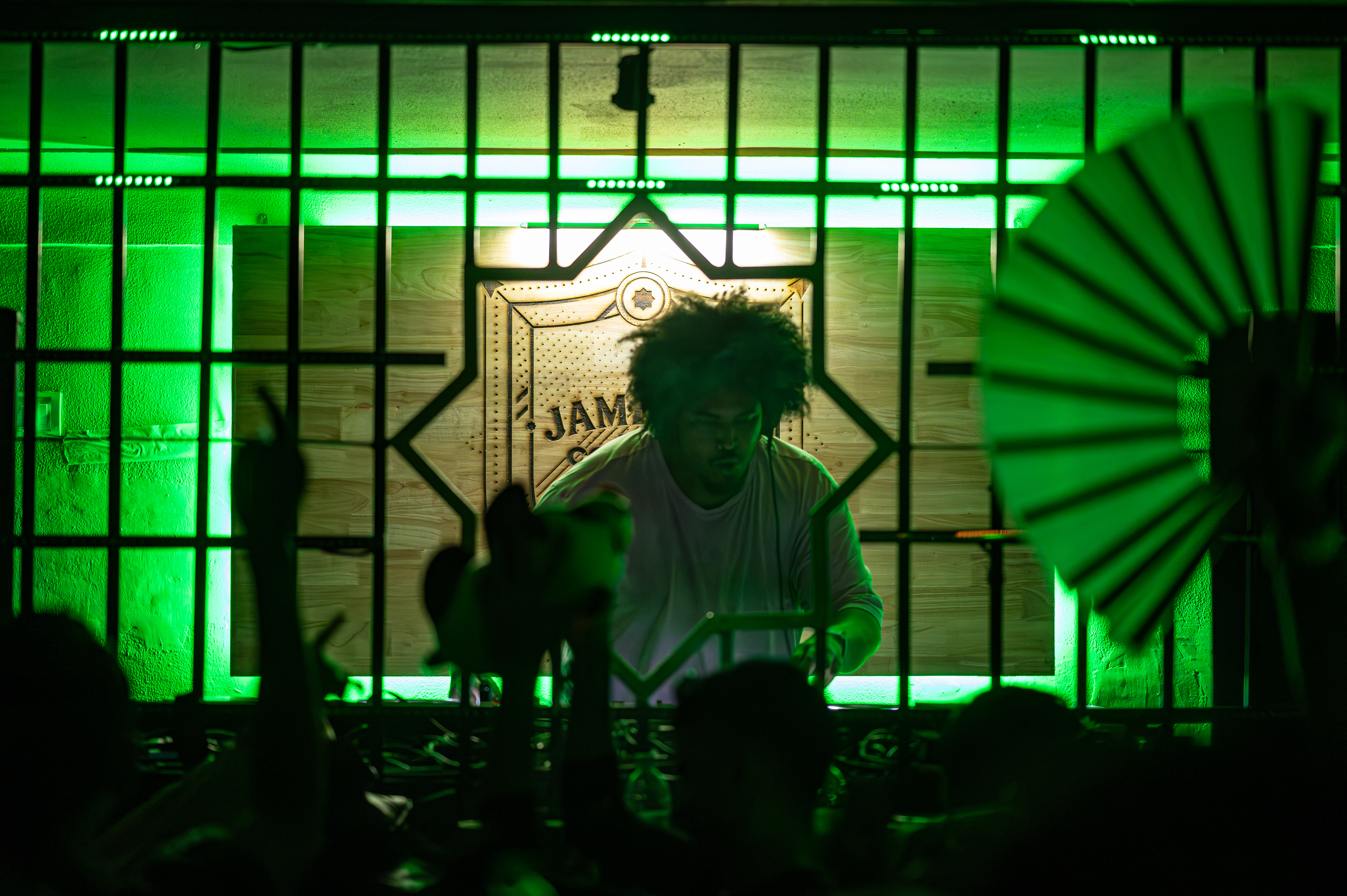 Magnetic Fields 2024 | moe.