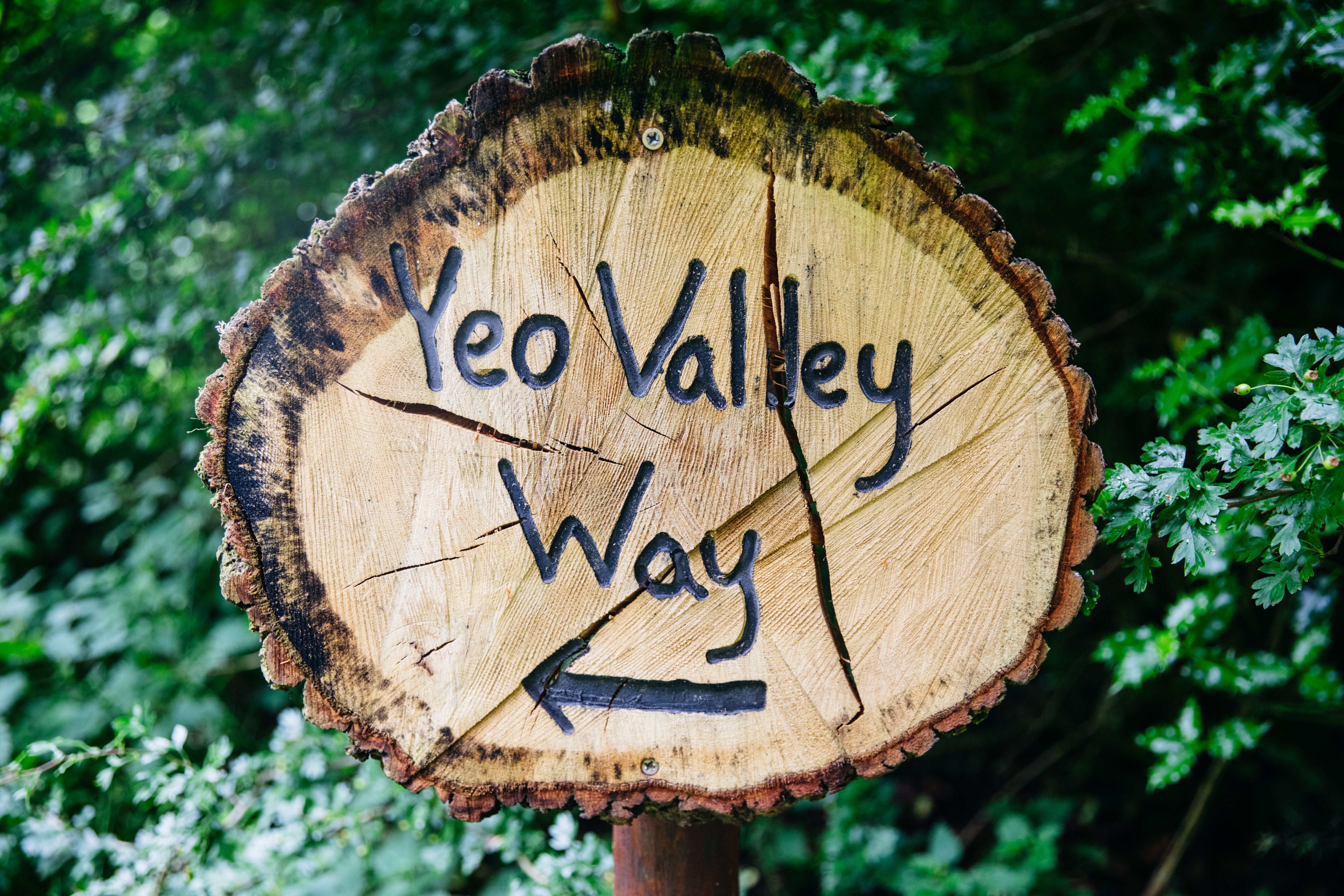 Experience - Yeo Valley Way