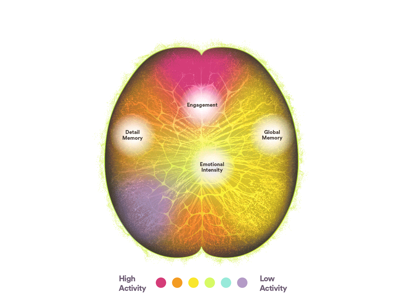 声音科学: 了解你大脑的声音 image