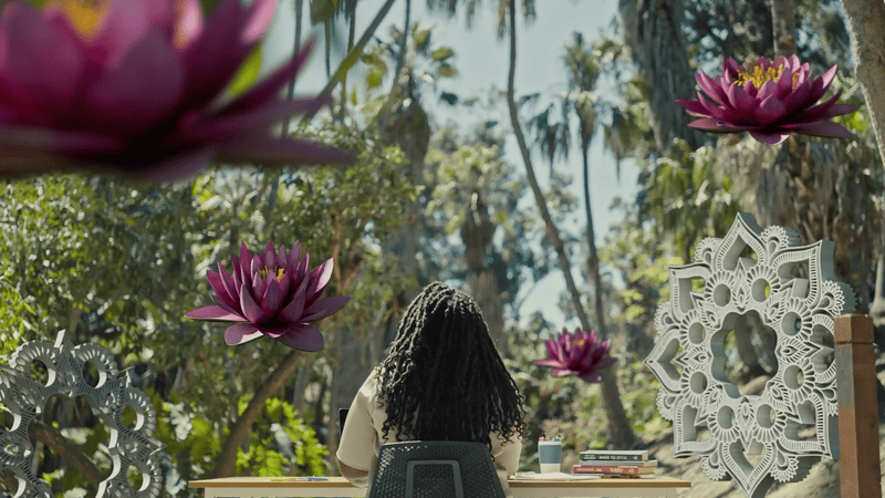 Video compilation of people using different Lenses 