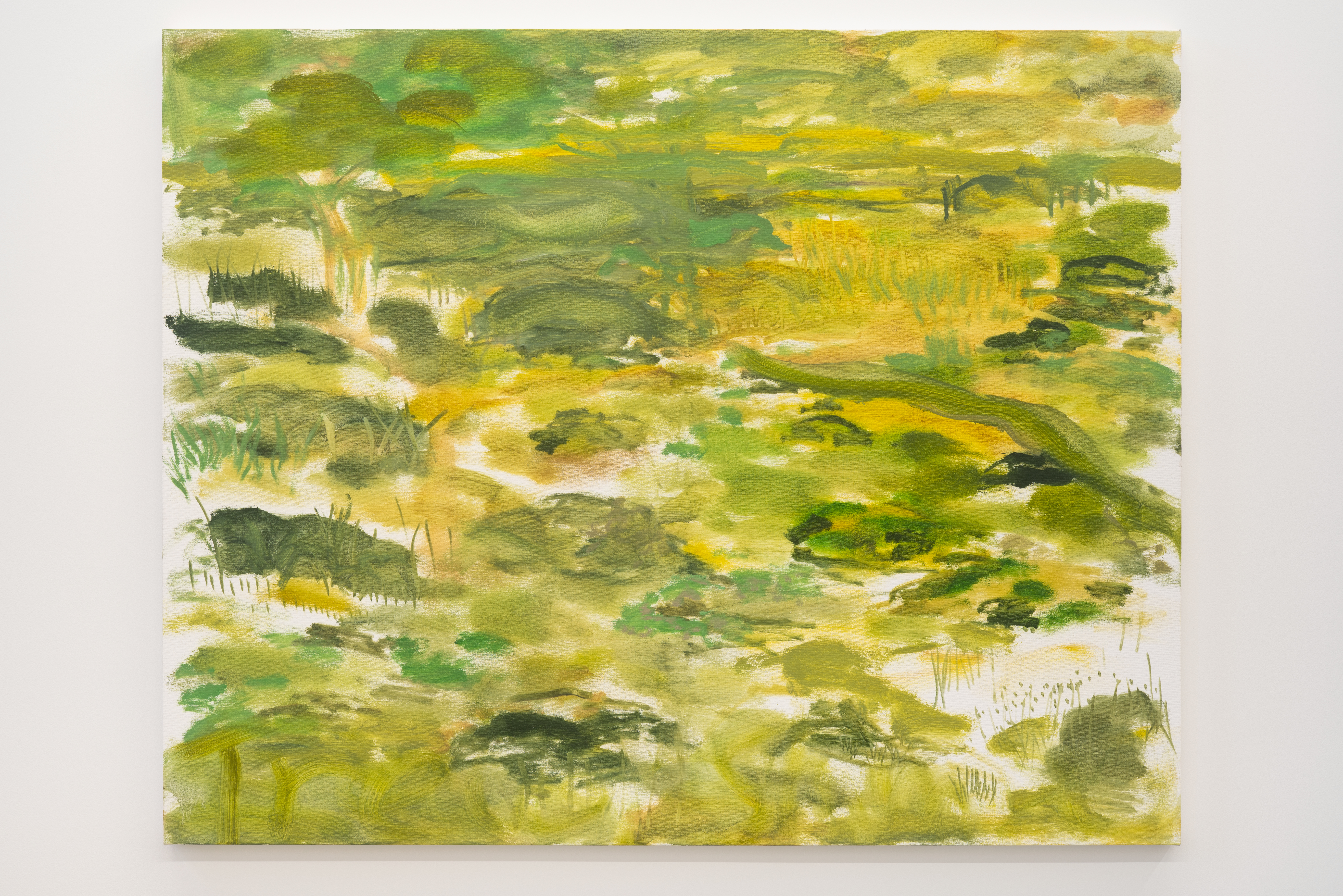 Trevor Shimizu
Moss Garden (3), 2019
Oil on canvas
40 x 50 inches
101.6 x 127 cm