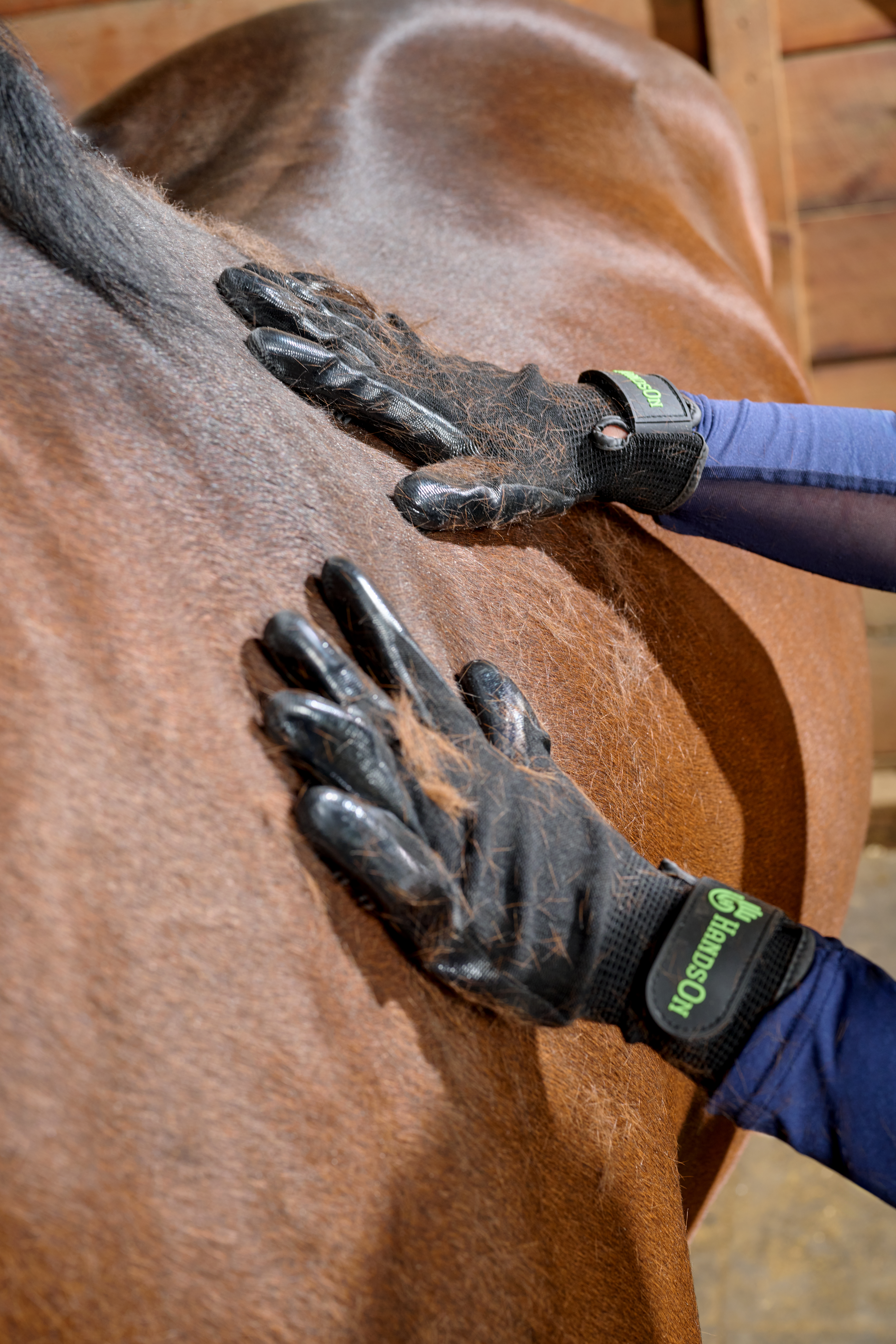 person using grooming gloves on a horse during shedding season