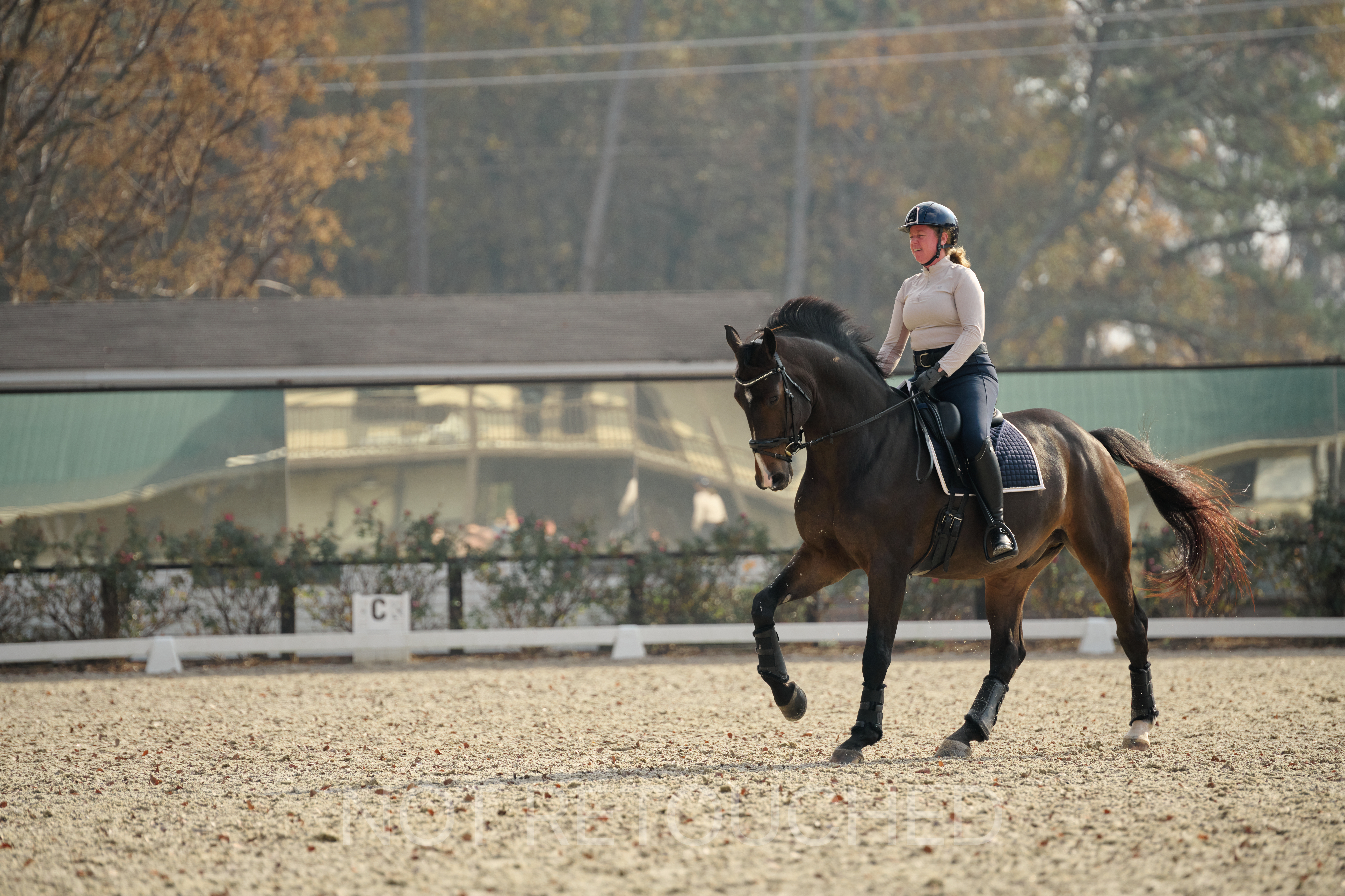 Dressage horse and rider cantering in a riding arena