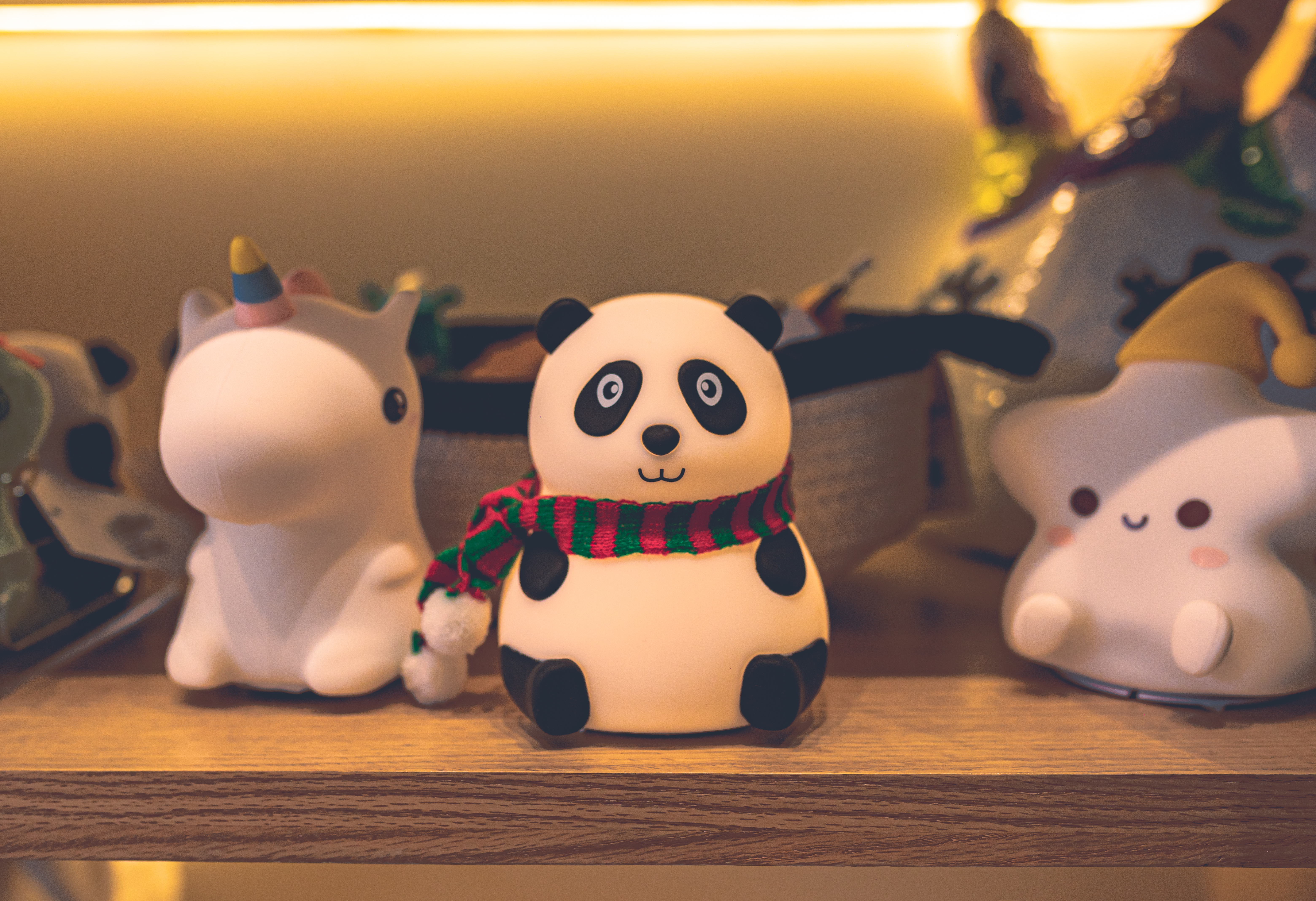 Ambience Photography