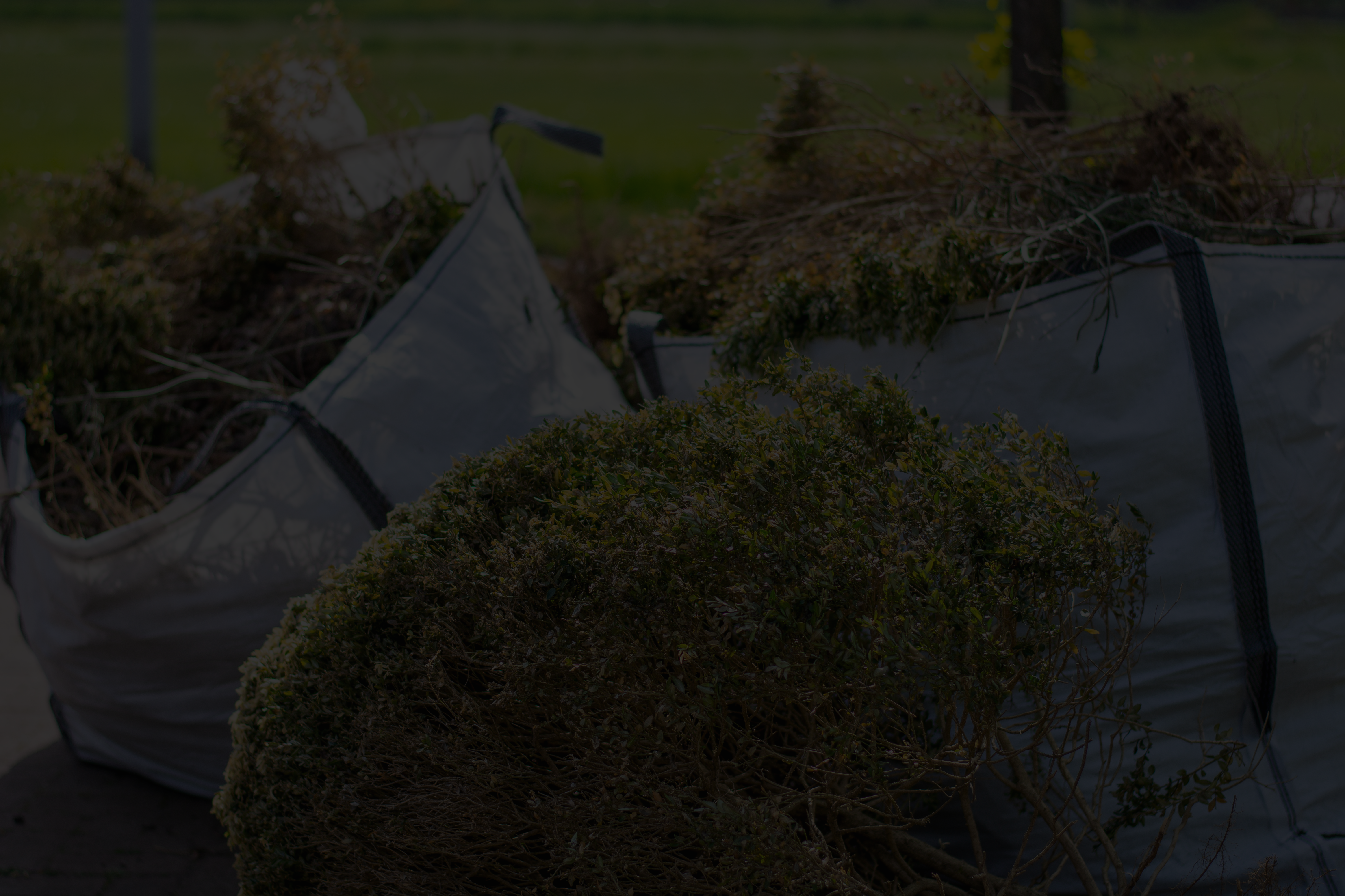 Green Waste Removal - 1st Call Junk Haul Sacramento