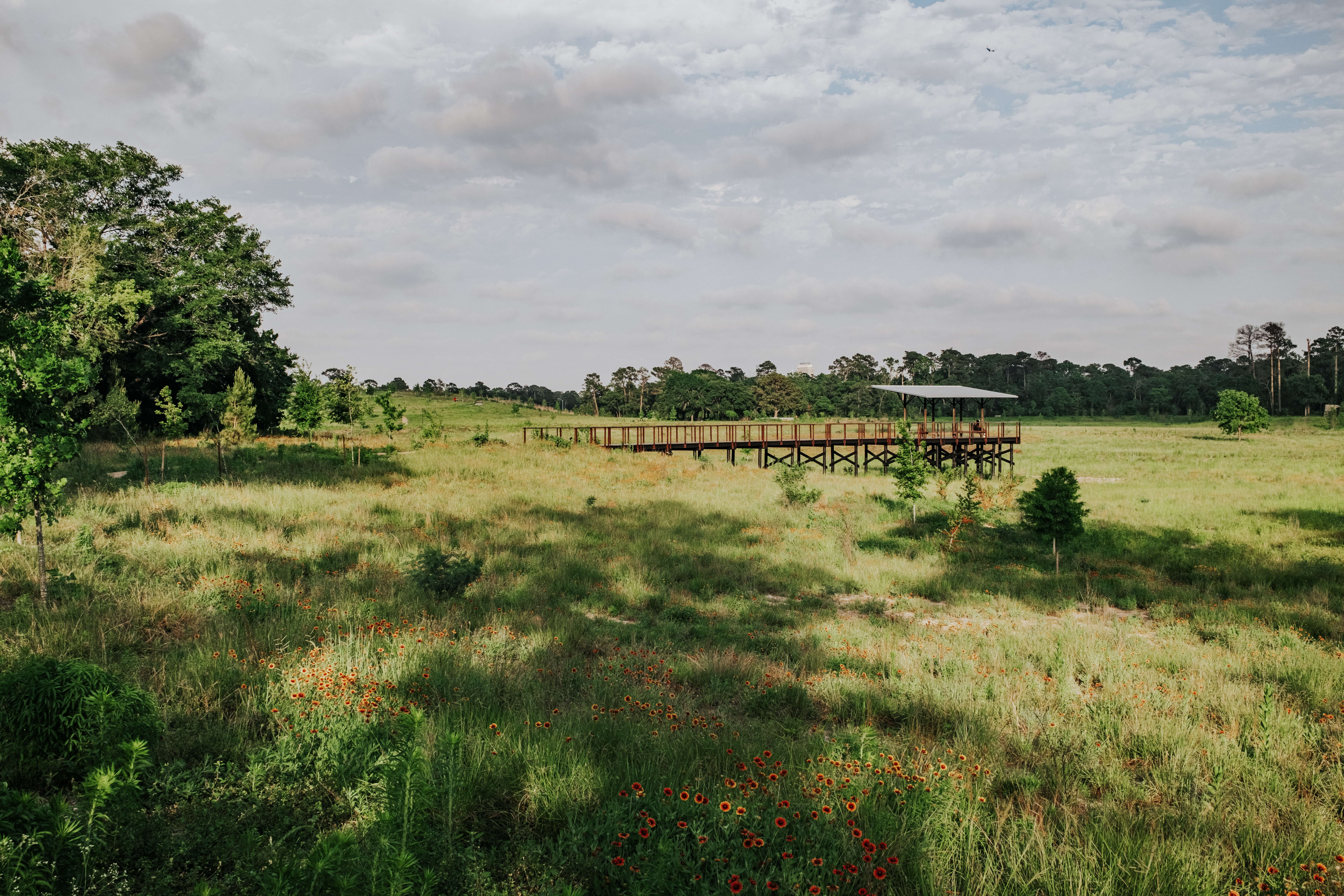 Overlook of prairie with natural grasses and flowers