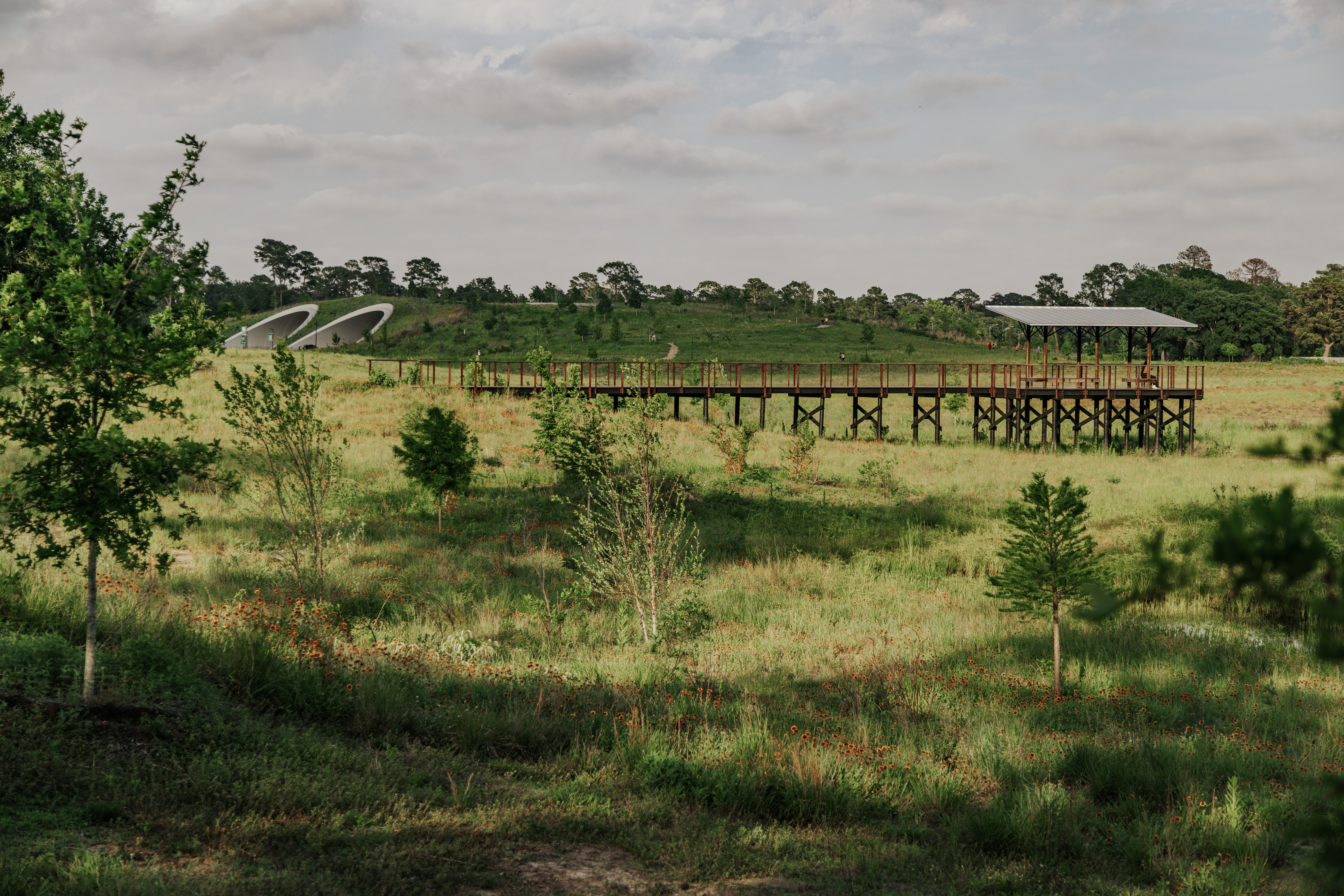 View of land bridge and prairie 