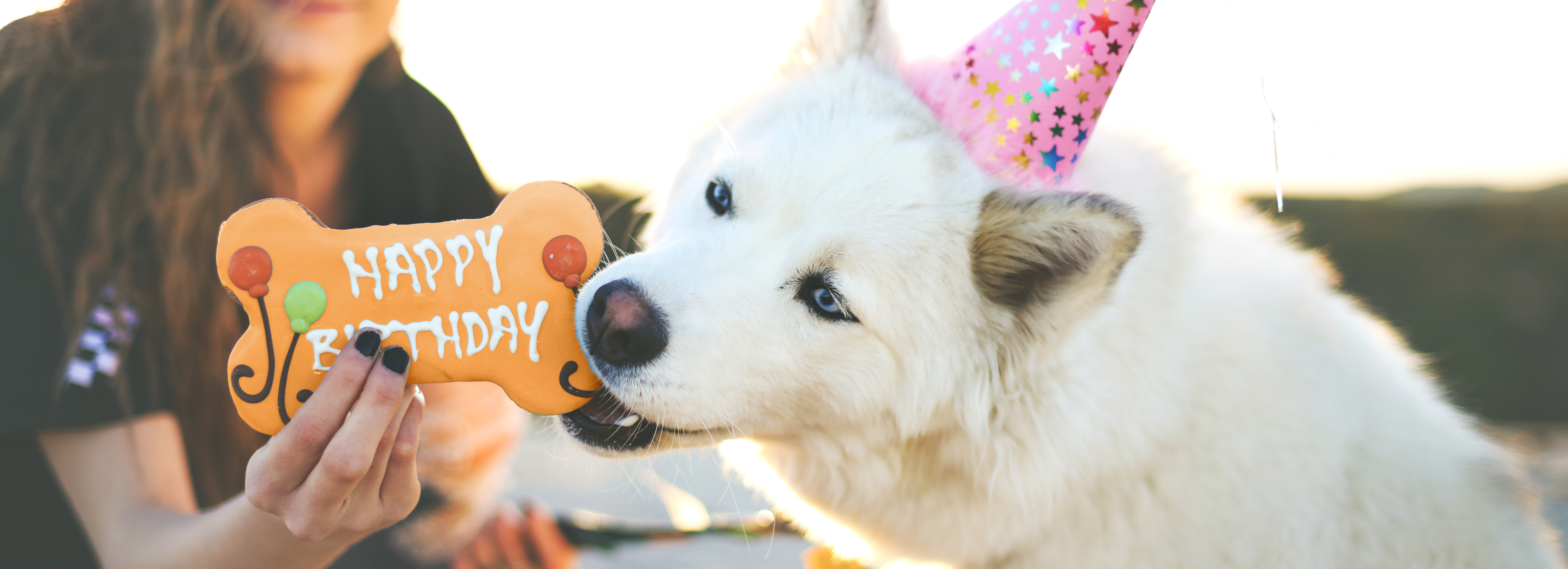 Oterra-1144400057 dog orange treat