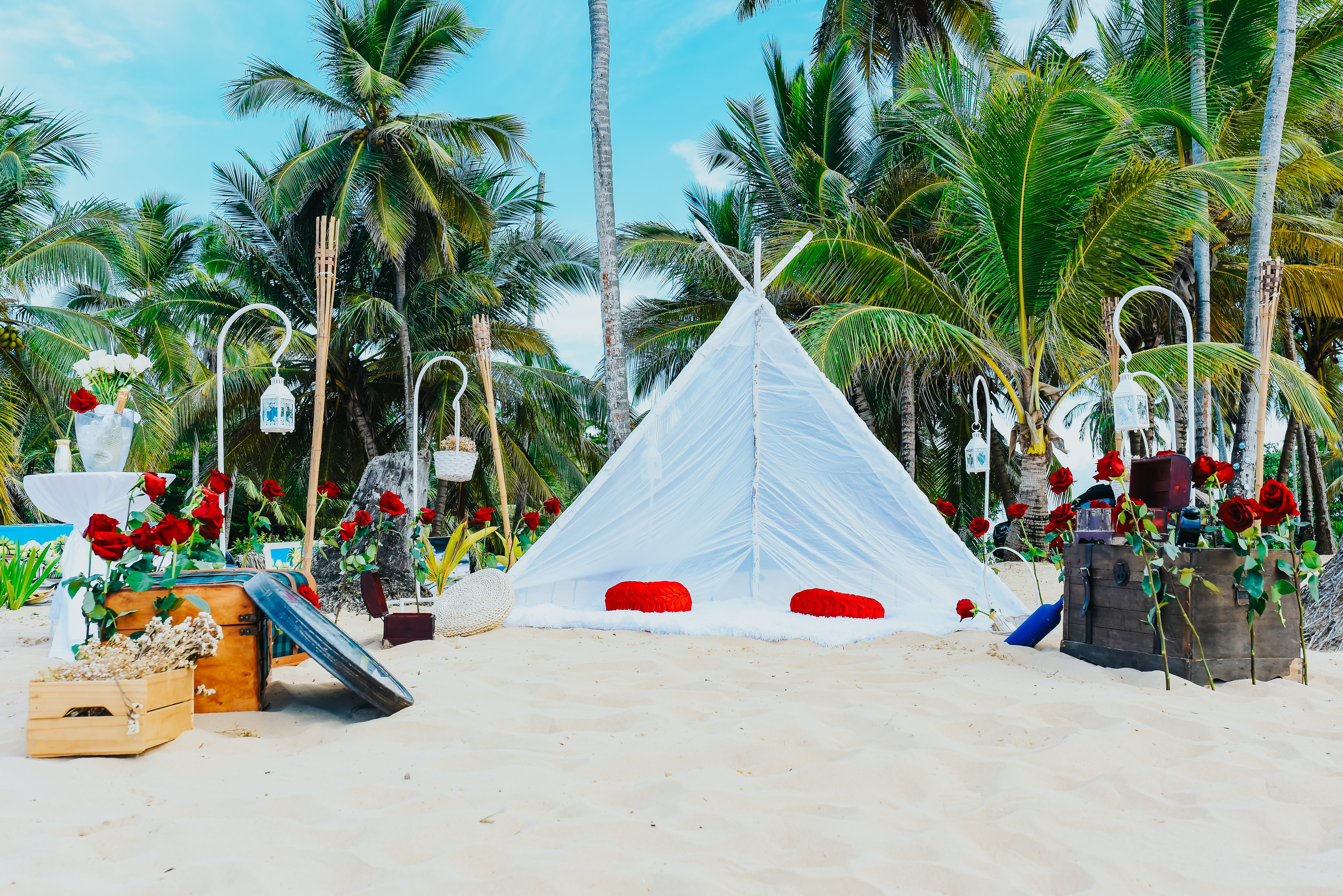 Unique Proposal Ideas Punta Cana