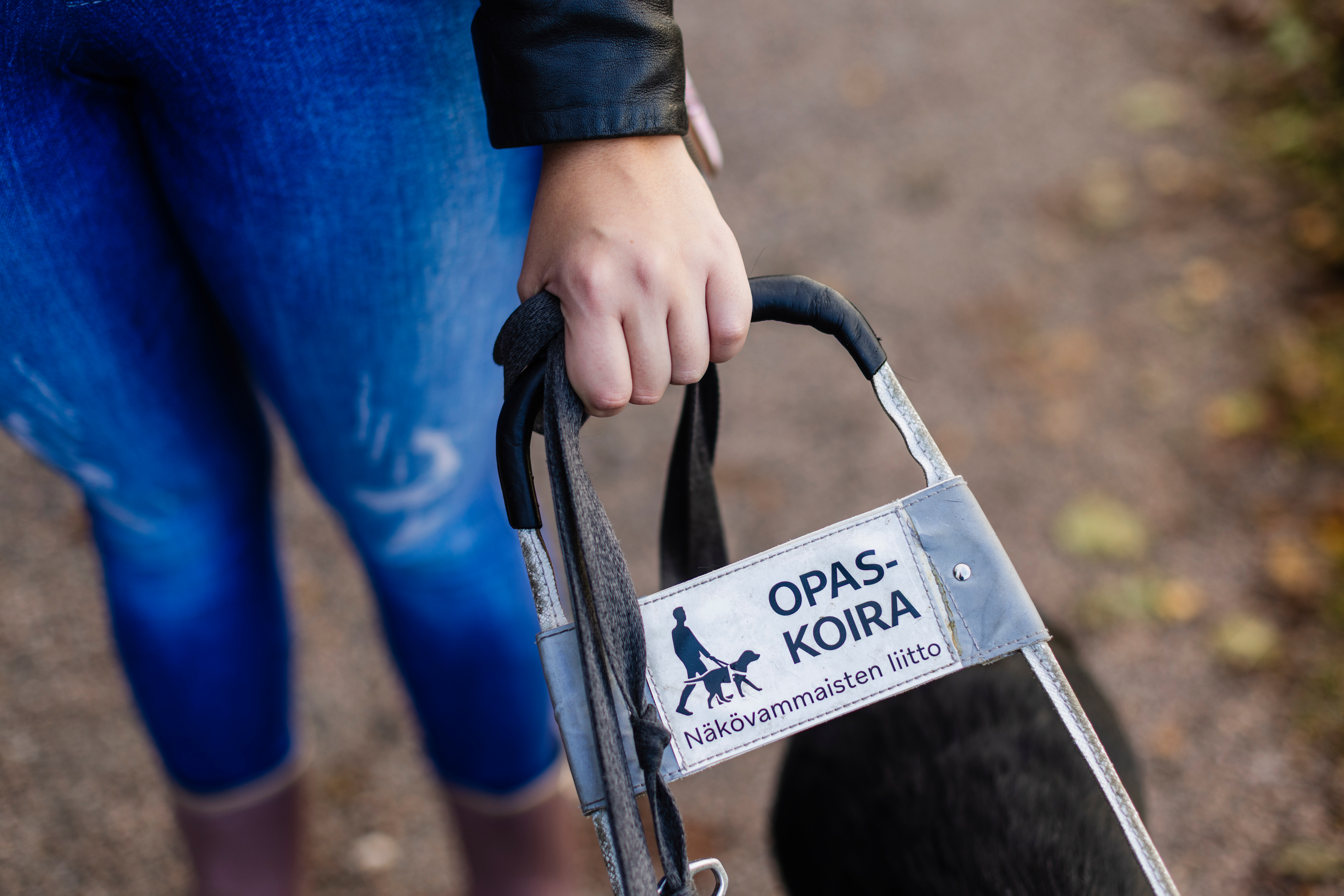 Lähikuva opaskoiravaljaista. Valjaissa kuva, jossa ihmishahmo ja koira kävelevät sekä teksti Opaskoira ja Näkövammaisten liitto.  Kuvan taustalla ihmisen jalat.