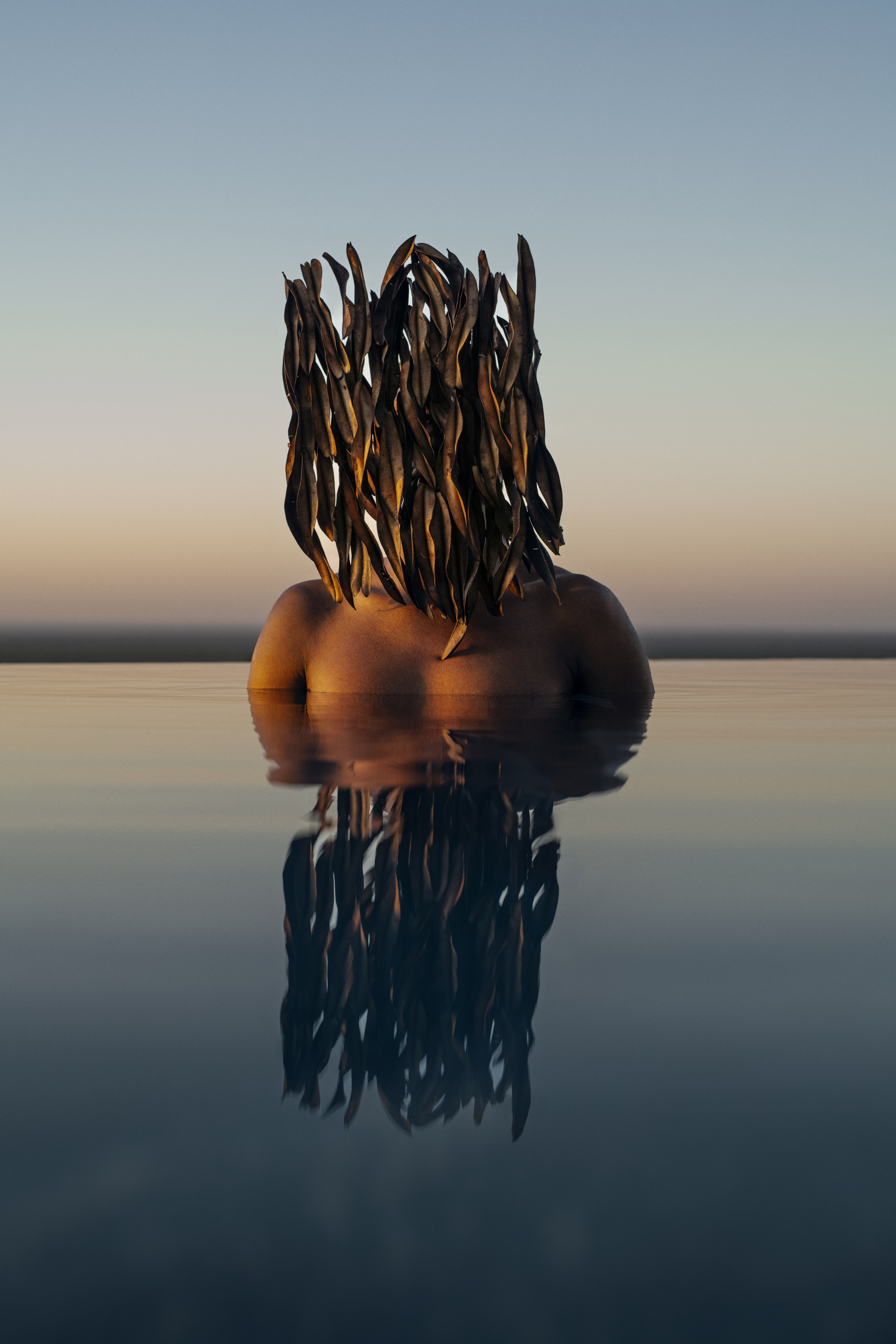 Tree at Singita Pamushana