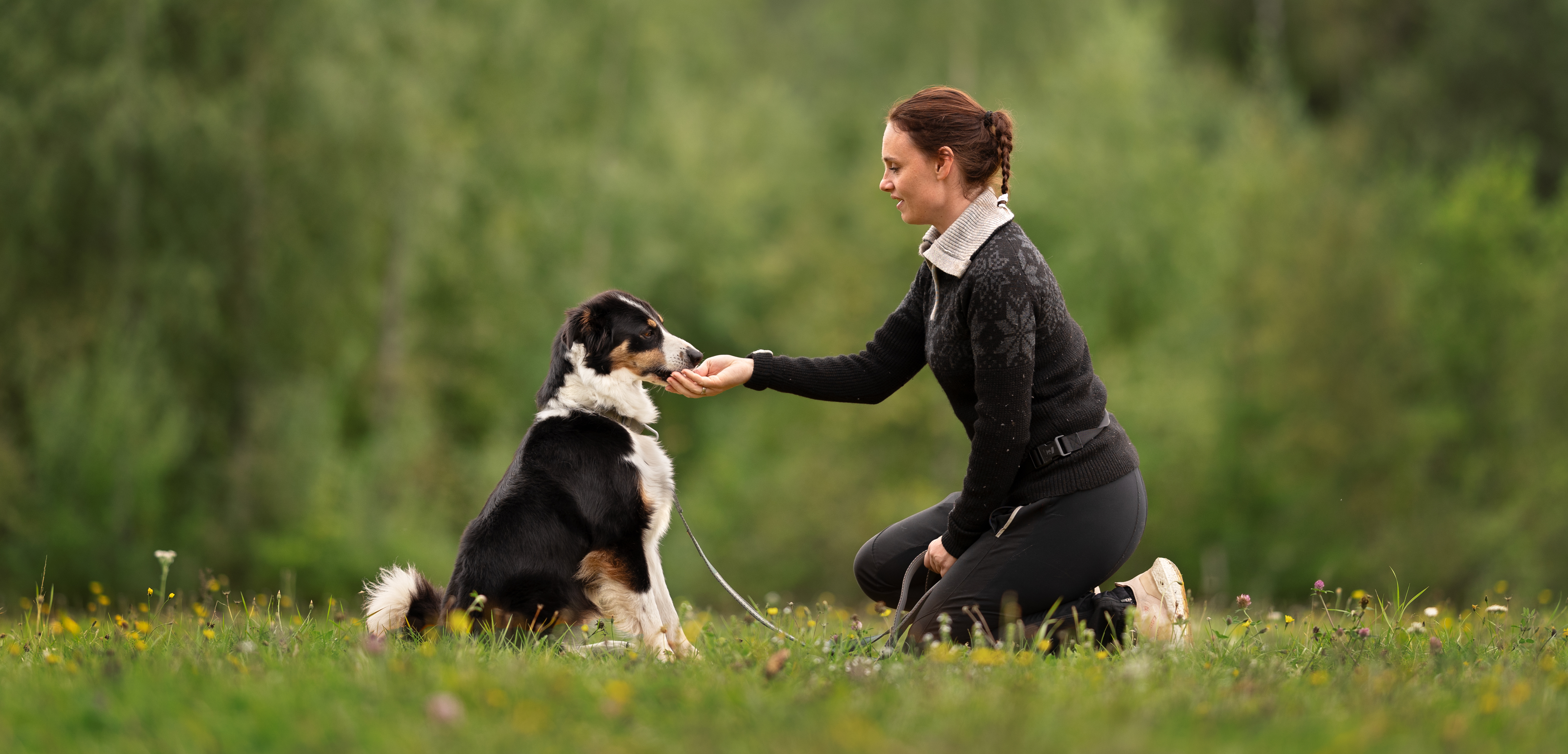 Hero kort håndtering