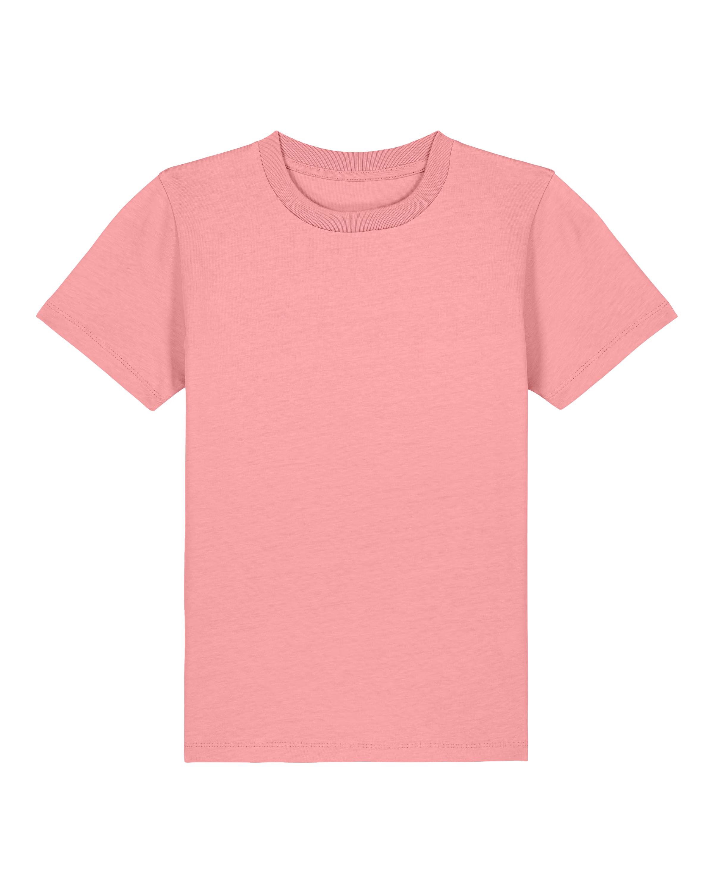 stanleystellatheiconickidstshirt PFM0 STTK184 C360