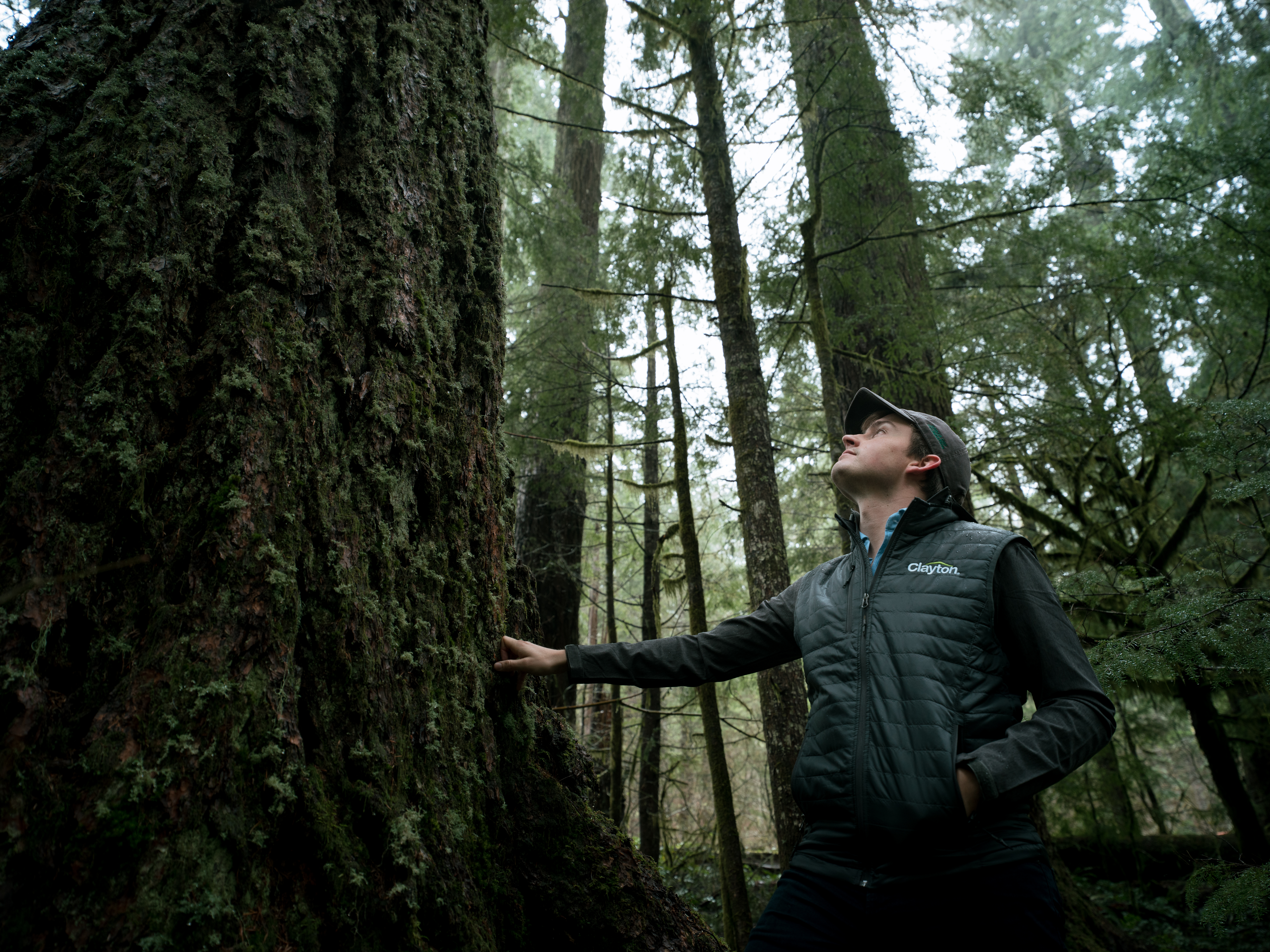 Clayton Home Building Group® Director of Environment and Sustainability William Jenkins stands in a forest at a tree planting site for the Arbor Day Foundation® in Salem, Oregon. 