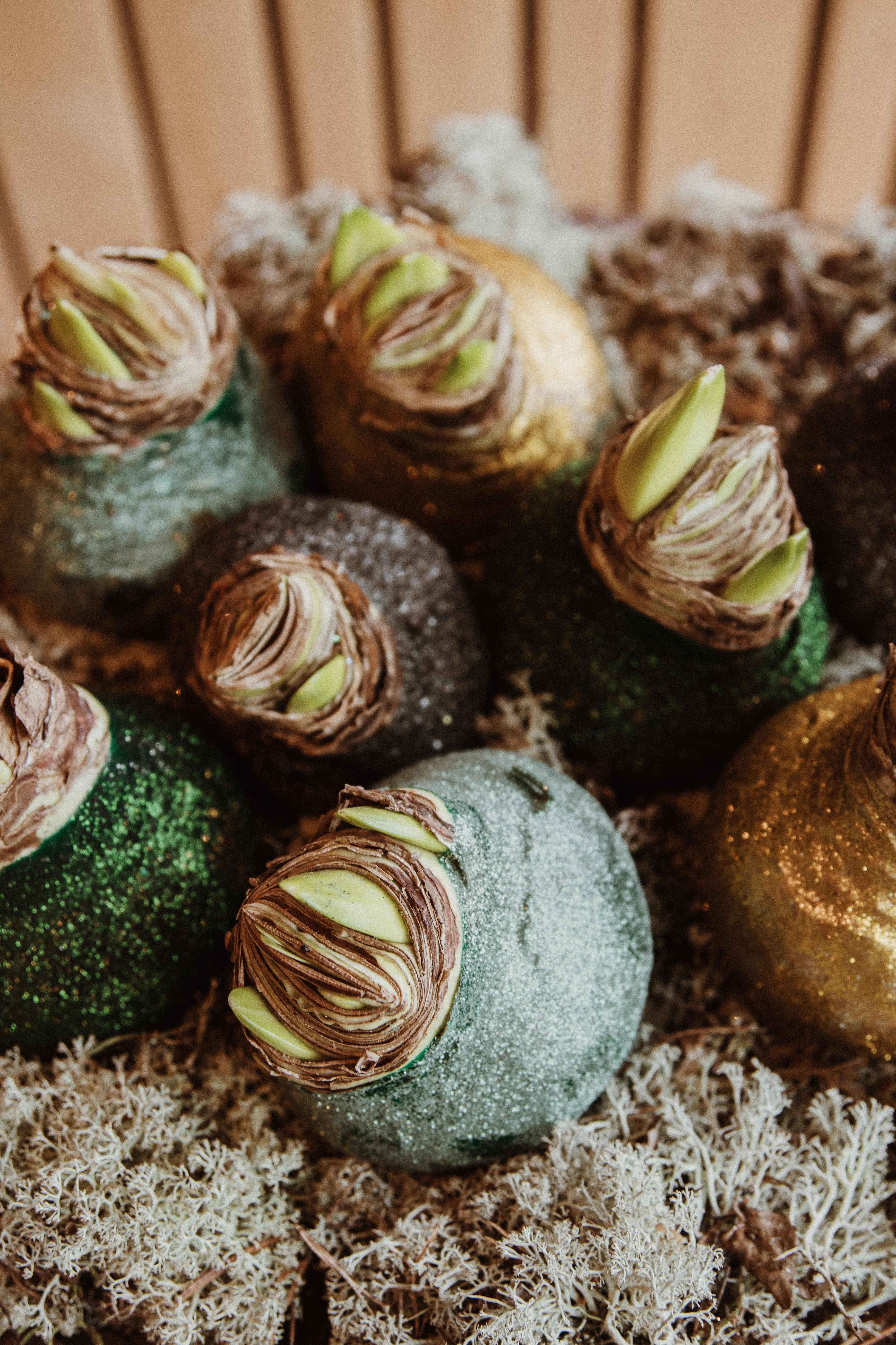 waxamaryllis,mix,glitter,24 (29)