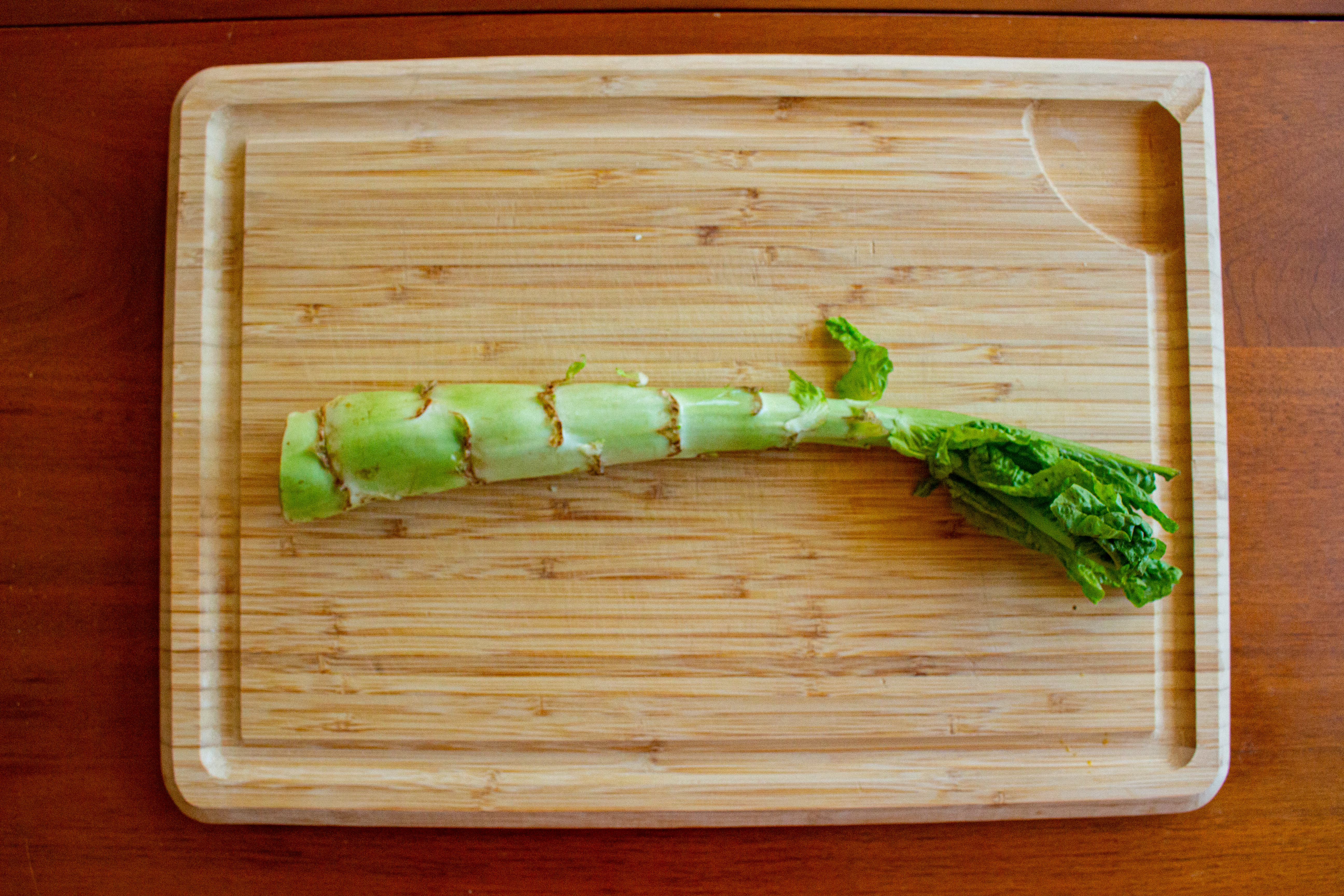 Chinese lettuce root