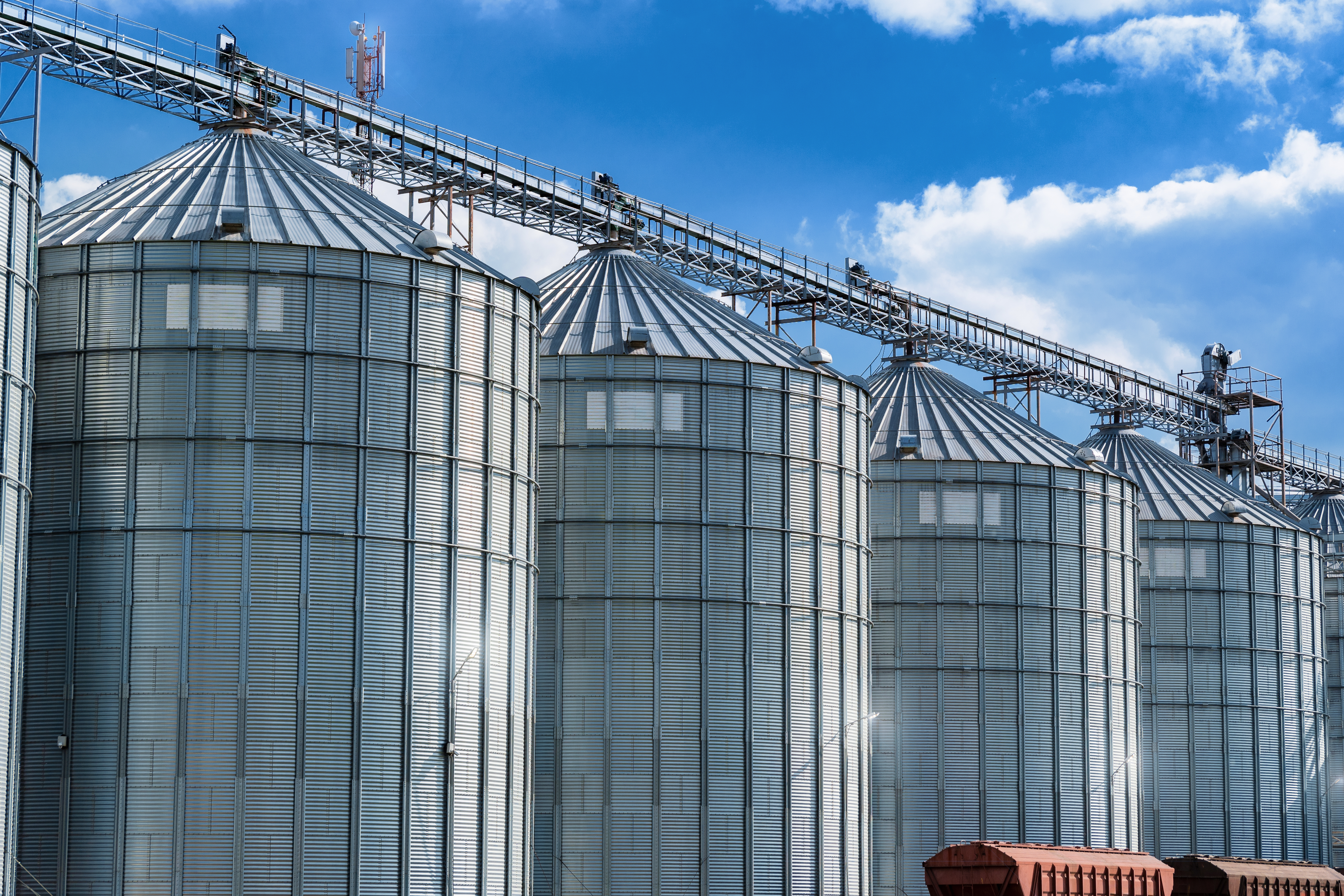 Four large cylindrical silos in a row under a bright sky.